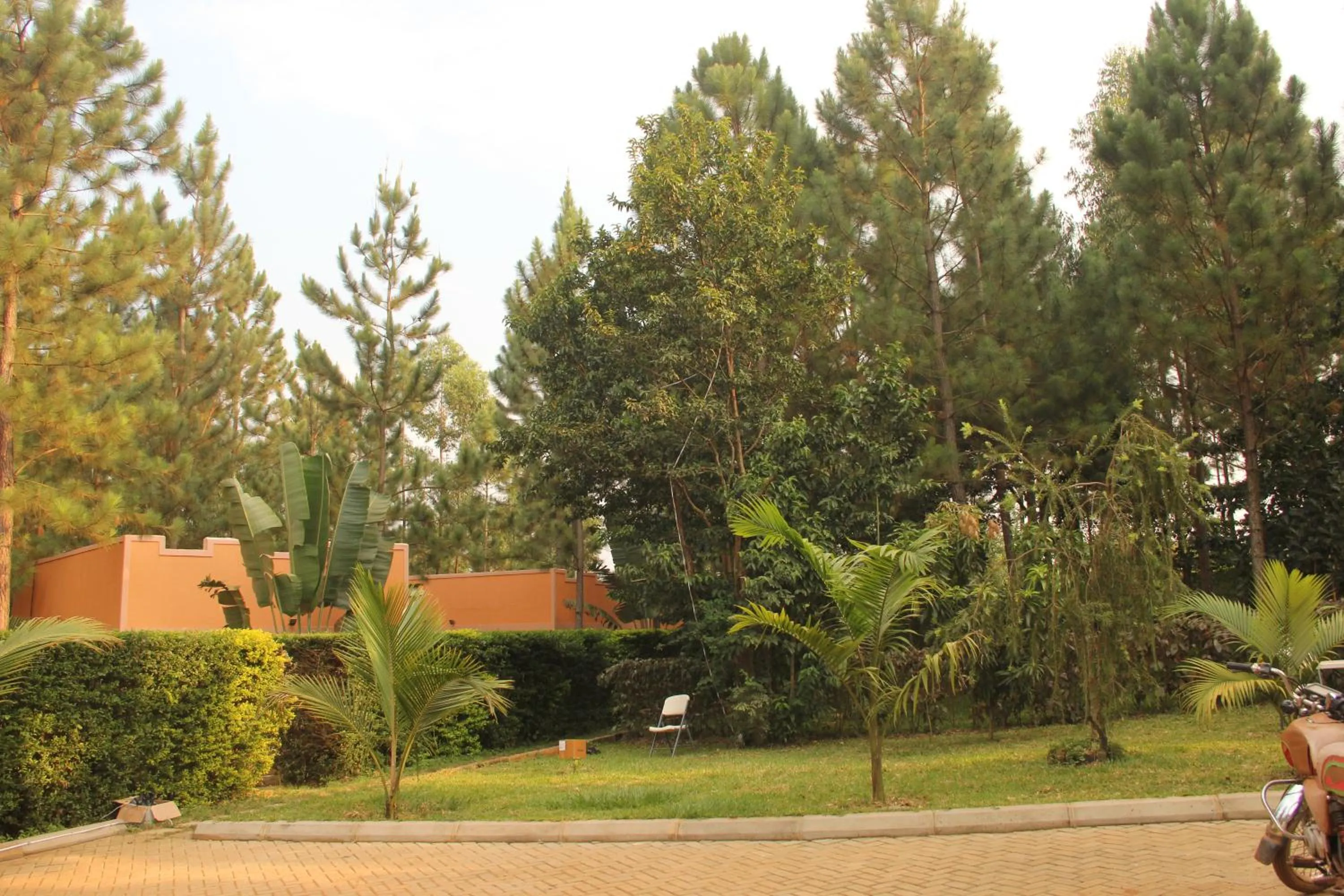 Day in Saltek Forest Cottages