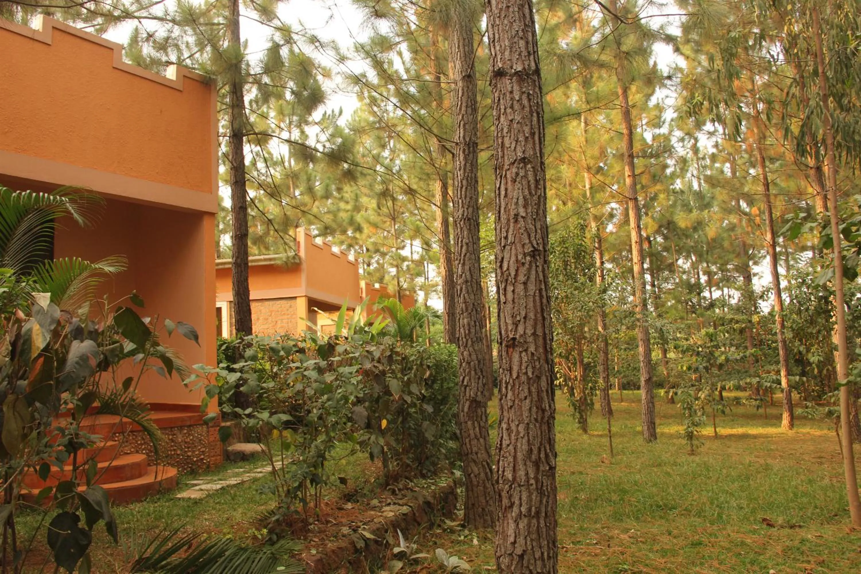 Garden view in Saltek Forest Cottages