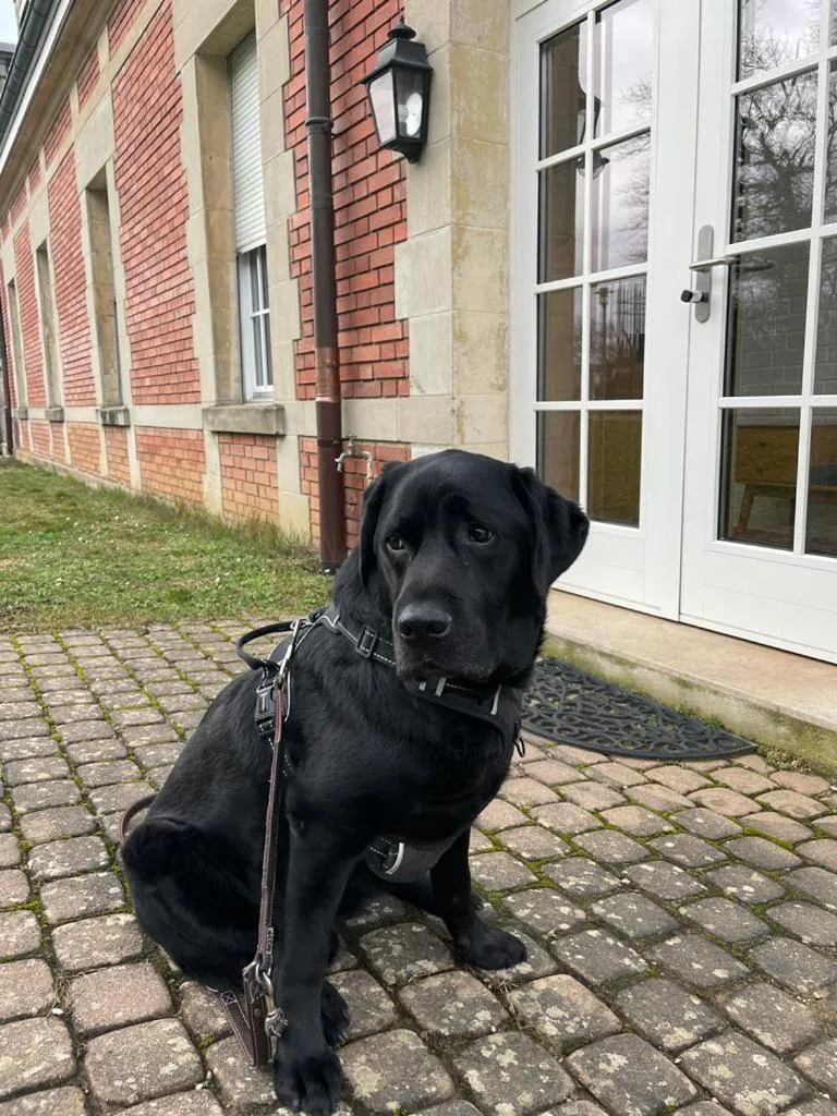 Domaine de Mont-Renaud