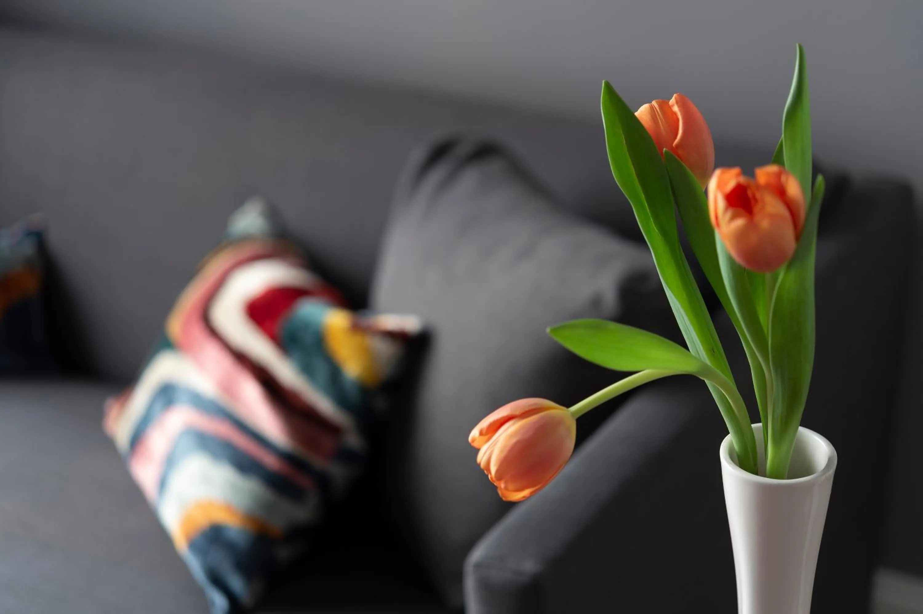 Bedroom in Butterfly Verona