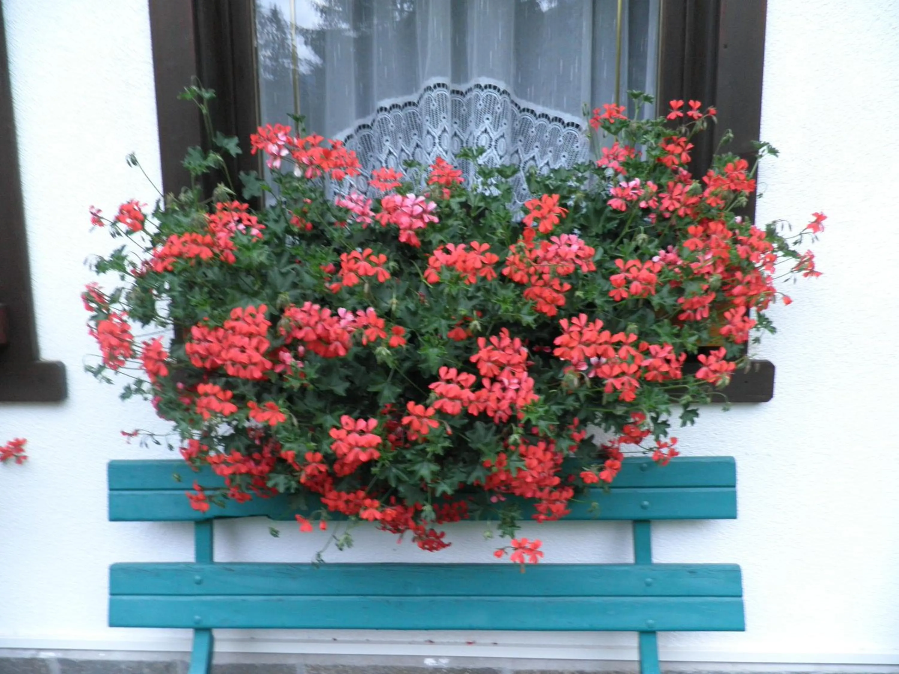 Decorative detail in Appartamenti Nigritella