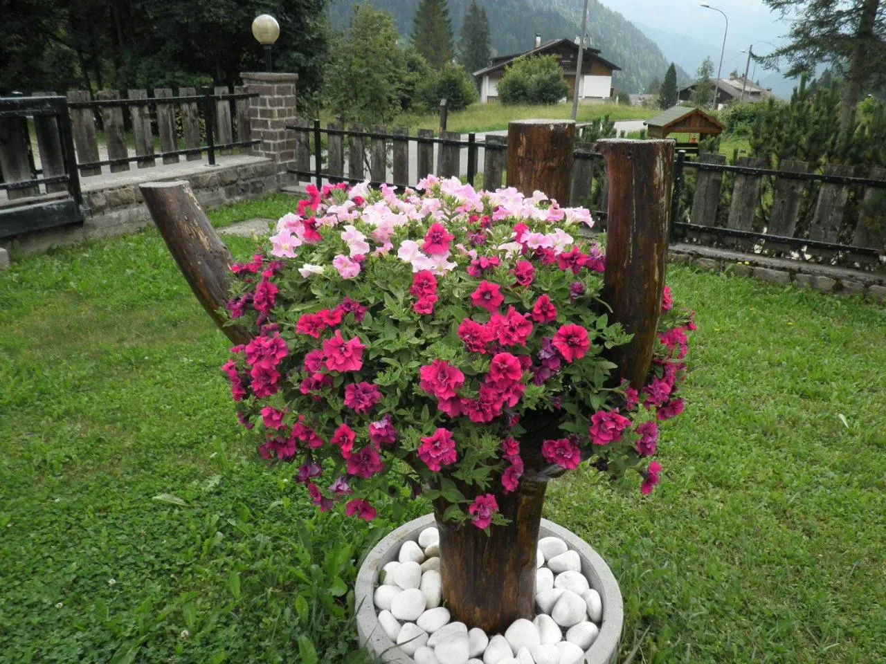 Decorative detail in Appartamenti Nigritella