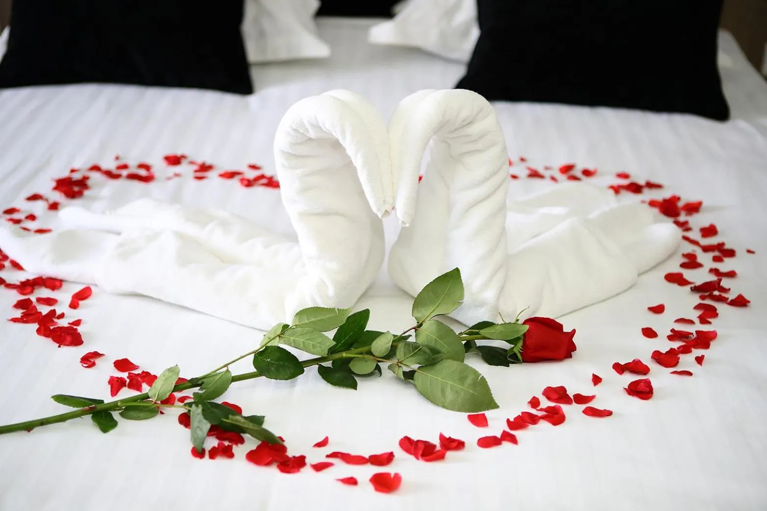 Photo of the whole room, Bed in MELISS EVENTS