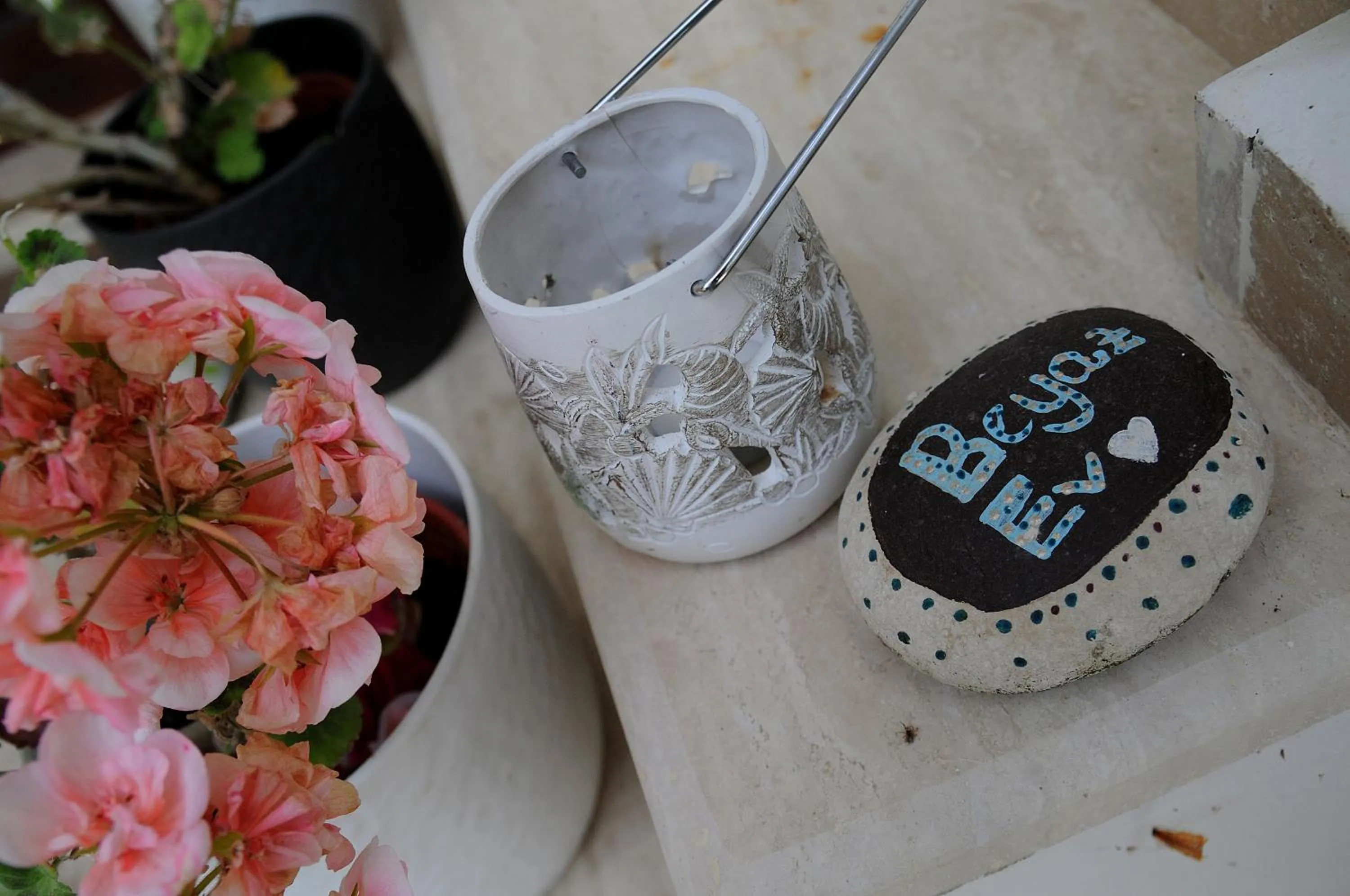 Other in Beyaz Ev Agva - Adult only +15