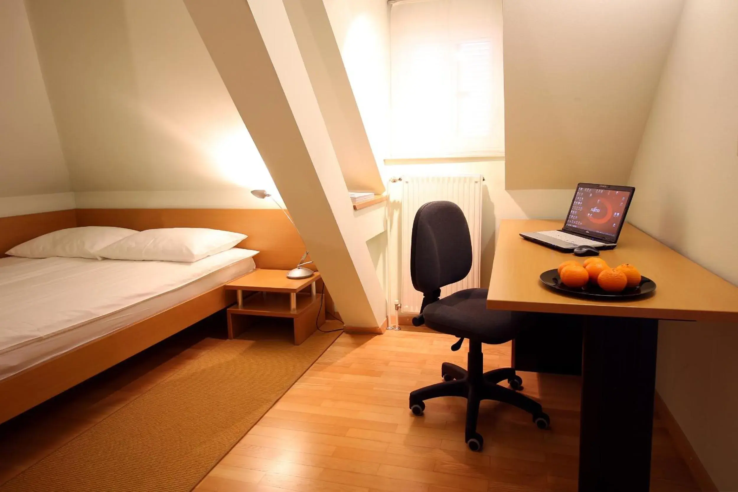 Double Room with Kitchenette - single occupancy in Apartments Villa Boltez Double Room with Kitchenette - single occupancy in Apartments Villa Boltez