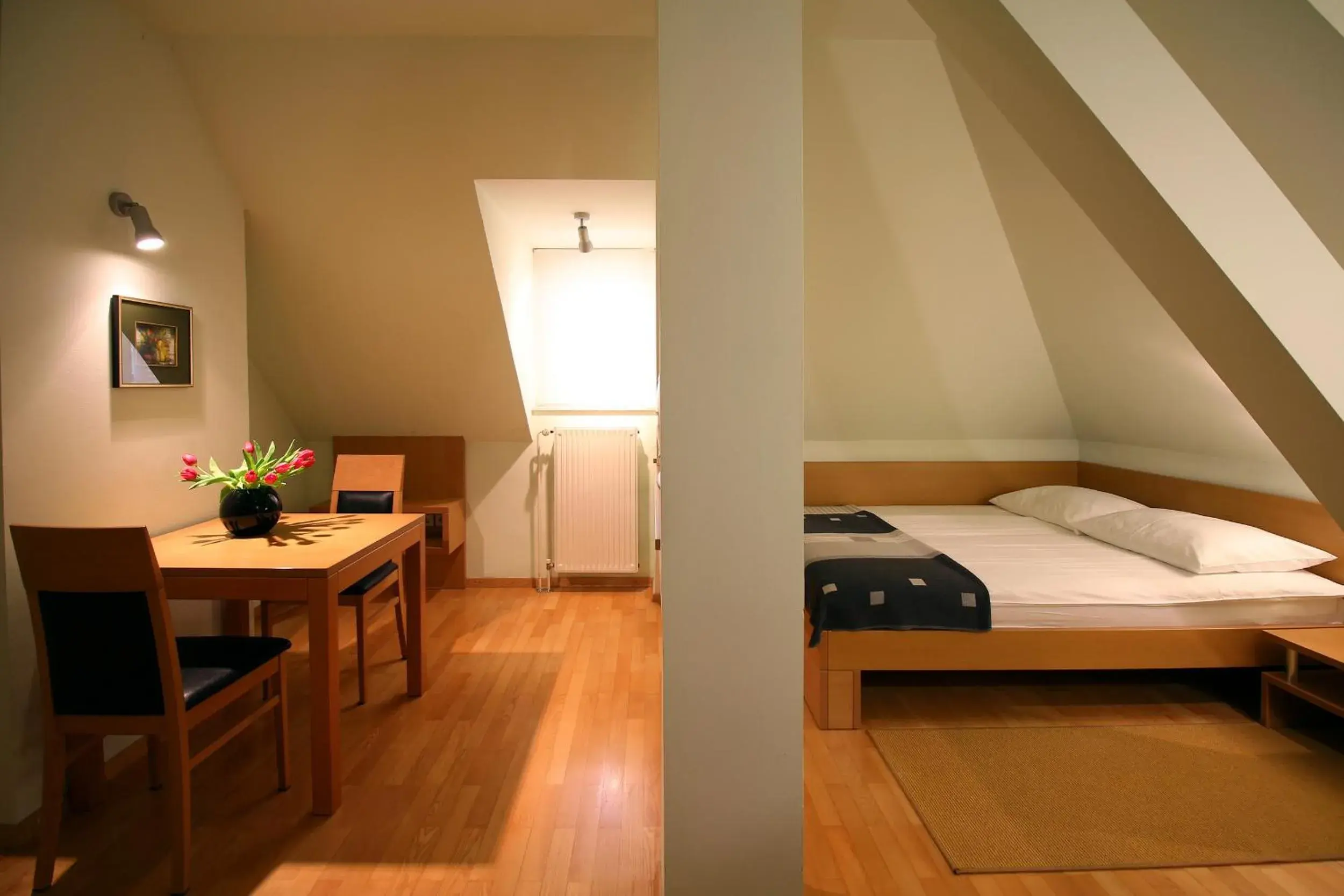 Double Room with Kitchenette - single occupancy in Apartments Villa Boltez Double Room with Kitchenette - single occupancy in Apartments Villa Boltez