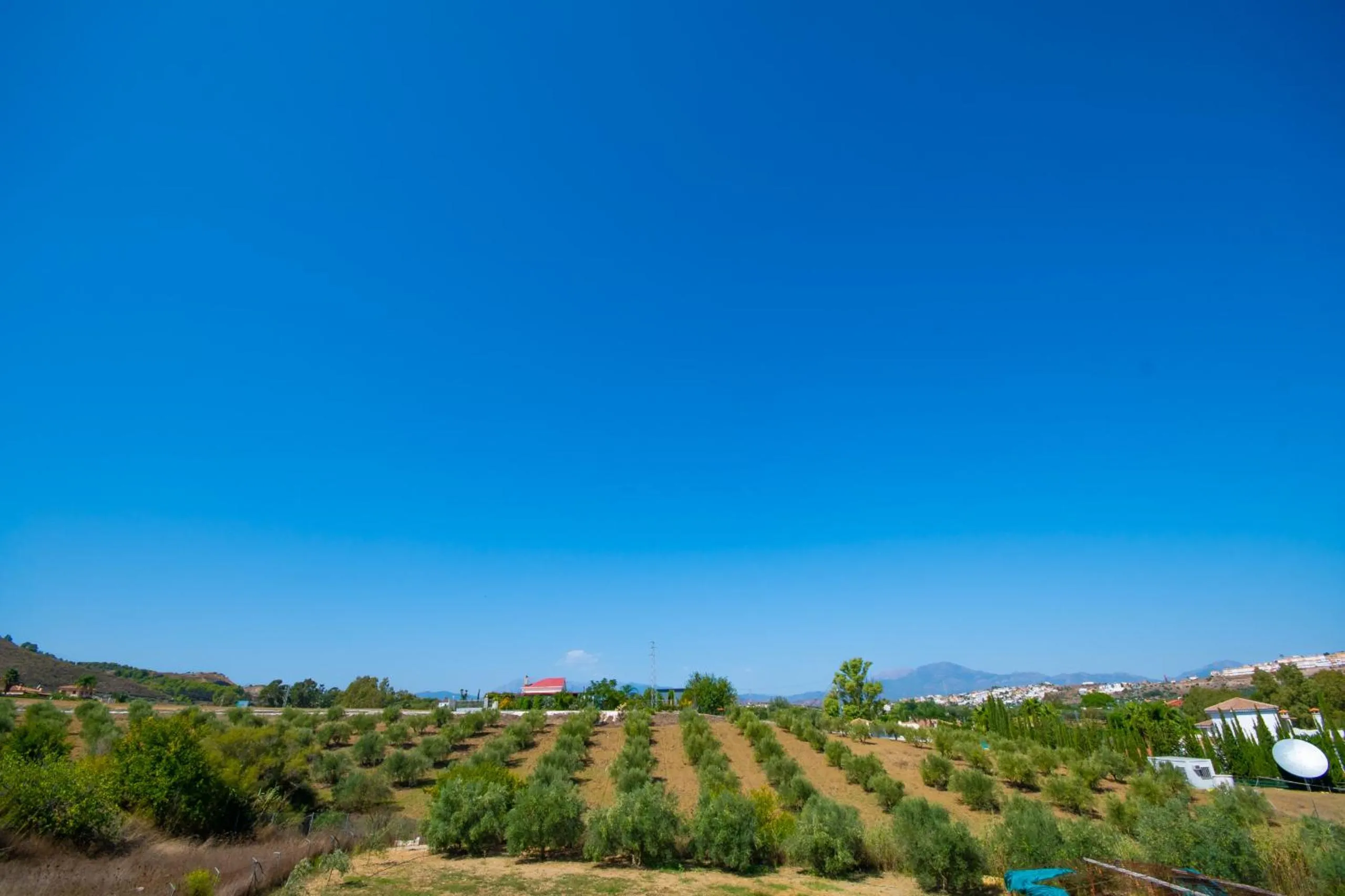 View (from property/room) in Cubo´s Finca Mis Seis Soles
