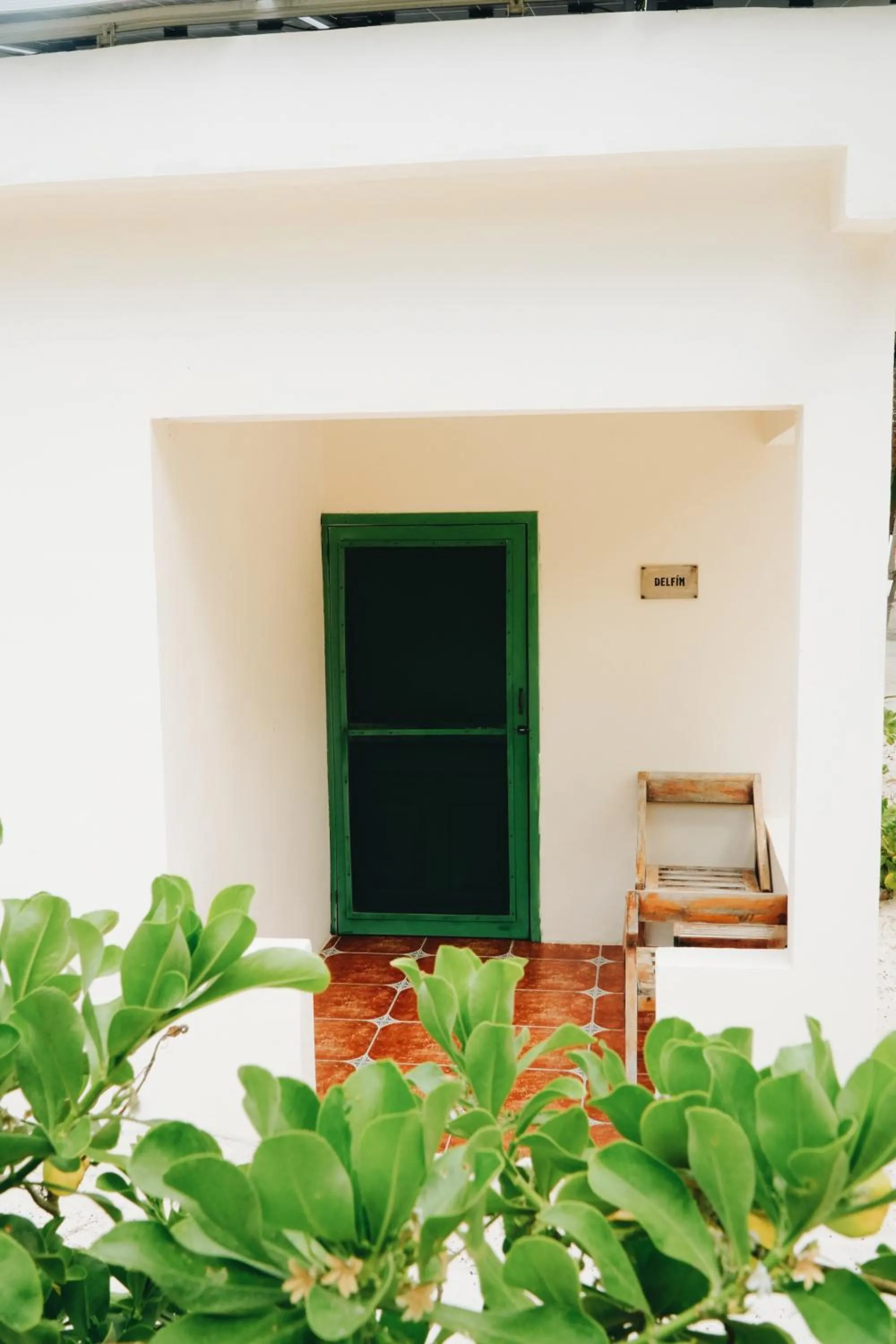 Day in Hotel Cielo y Selva