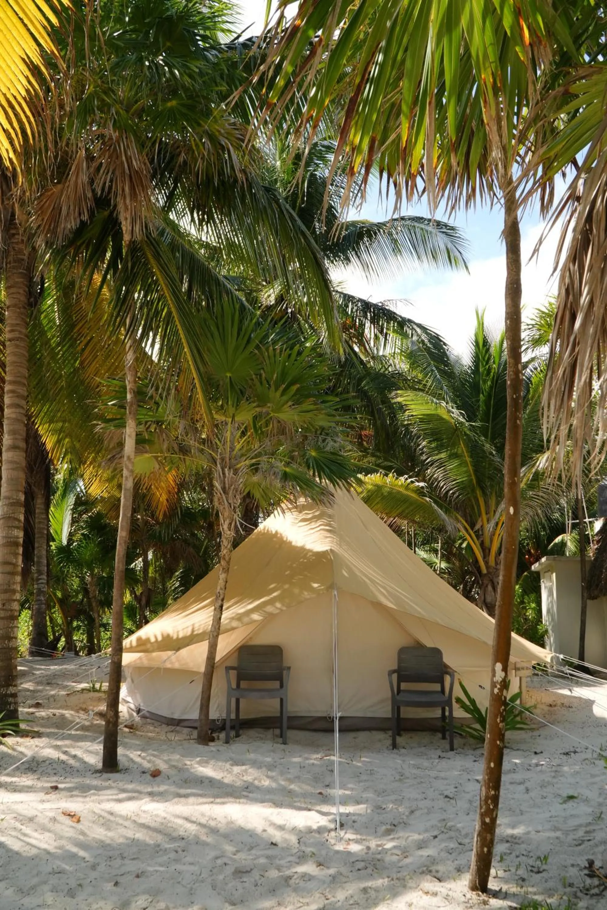 Natural landscape in Hotel Cielo y Selva