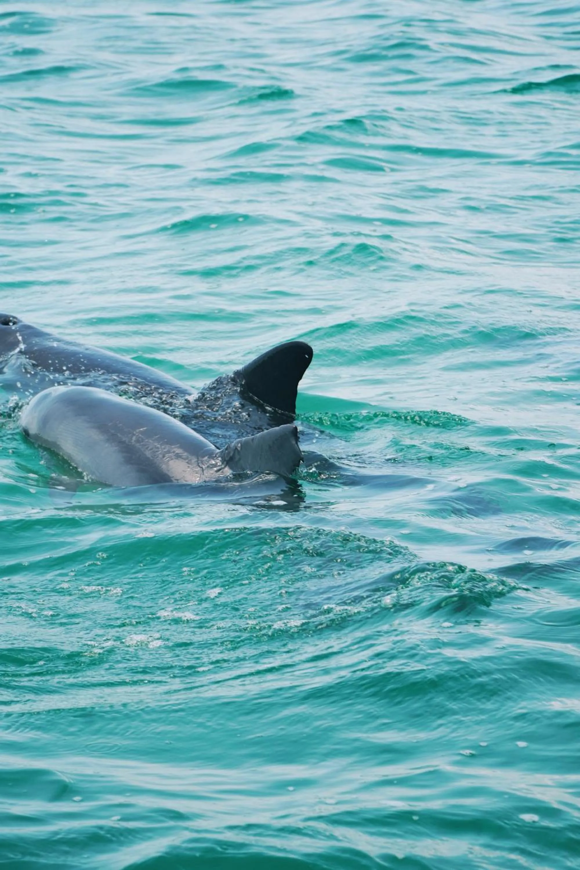 Natural landscape in Hotel Cielo y Selva