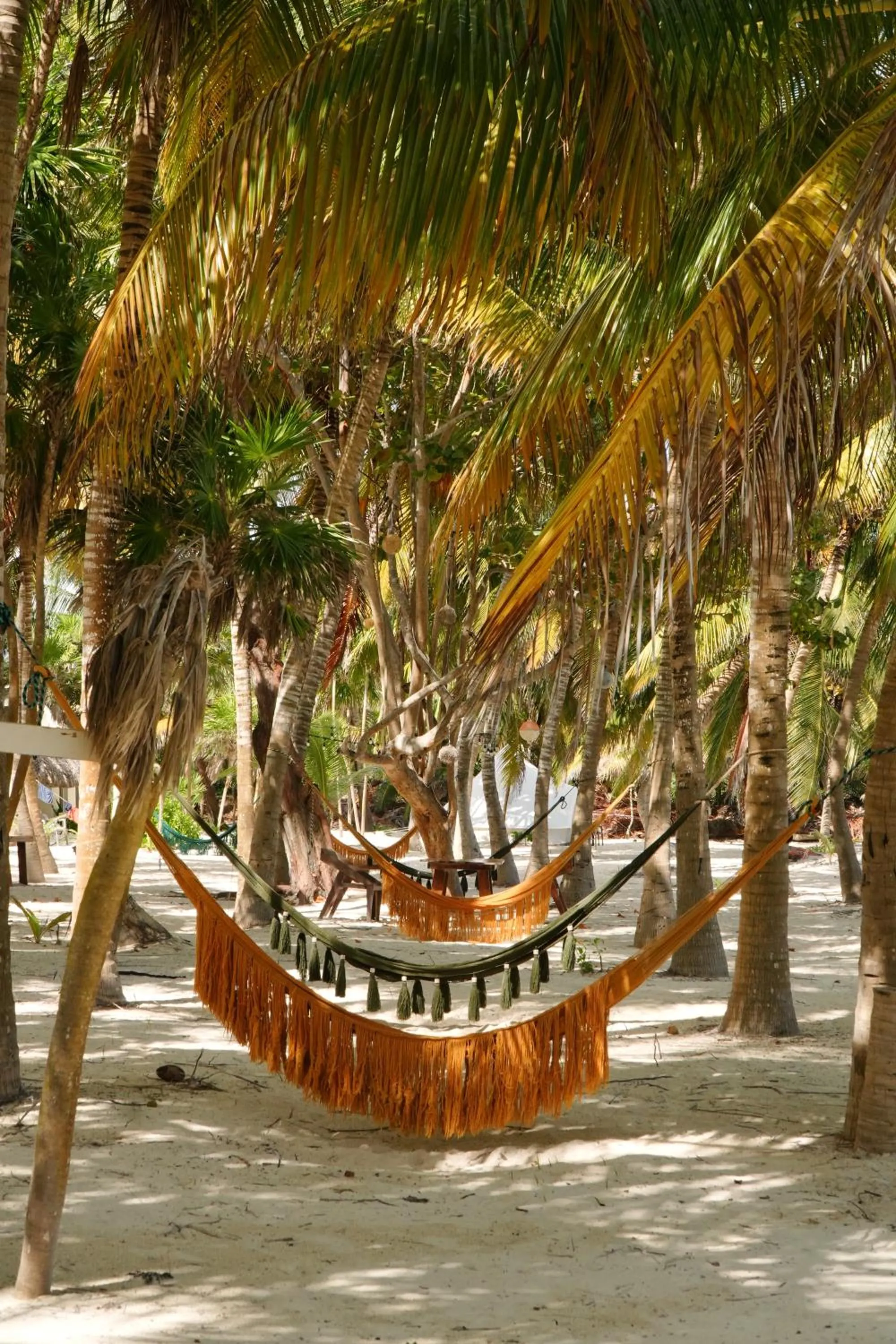Garden view in Hotel Cielo y Selva