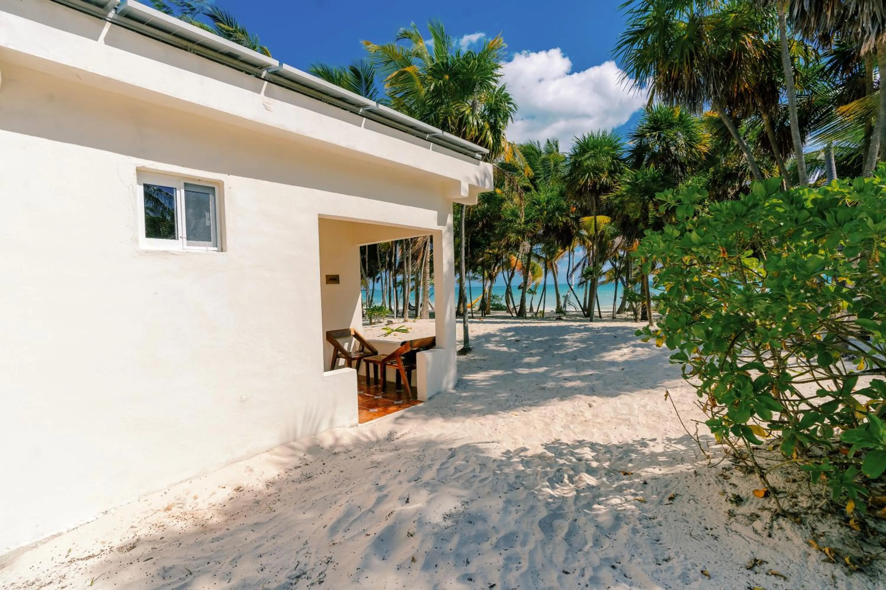 Balcony/Terrace in Hotel Cielo y Selva