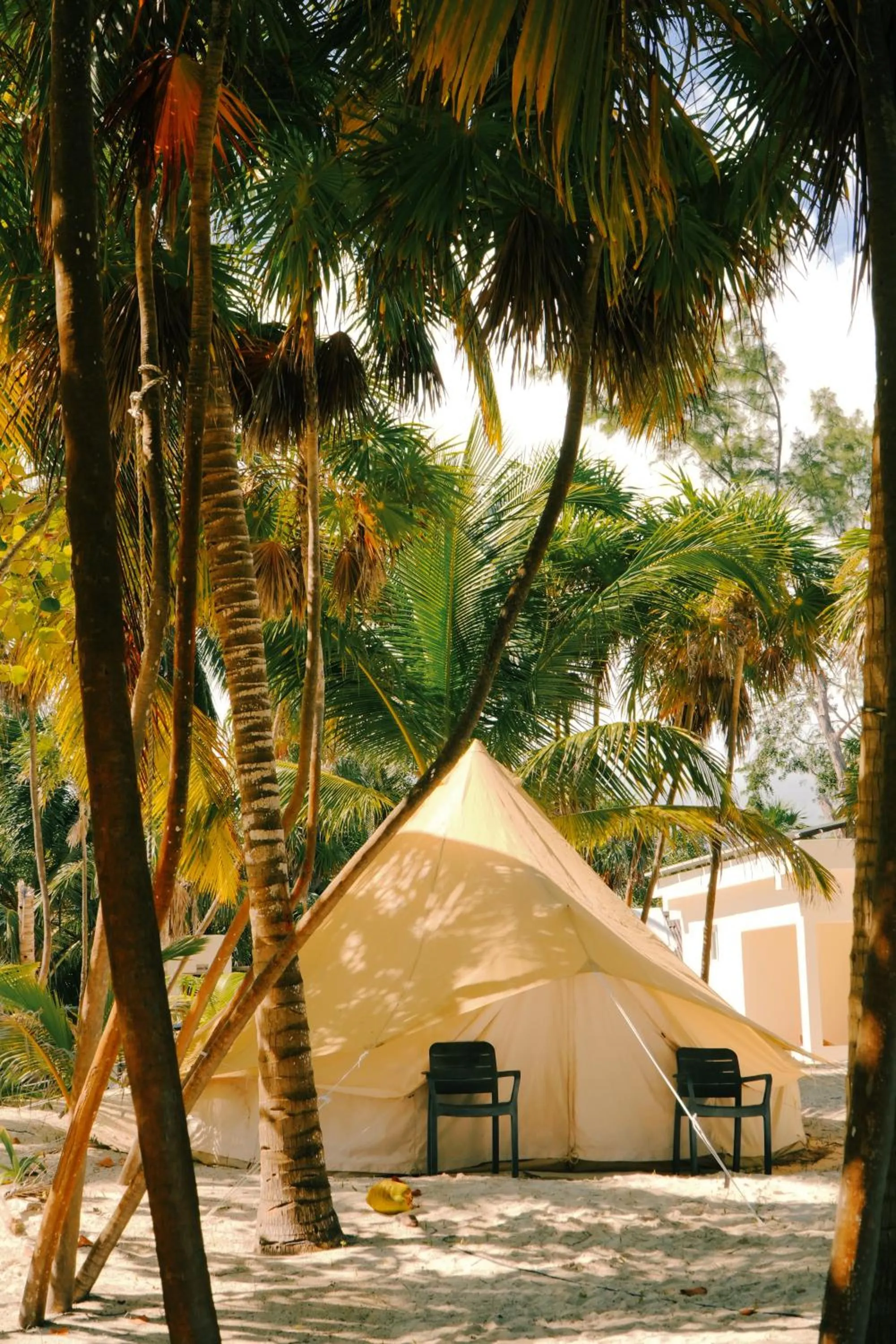 Day in Hotel Cielo y Selva