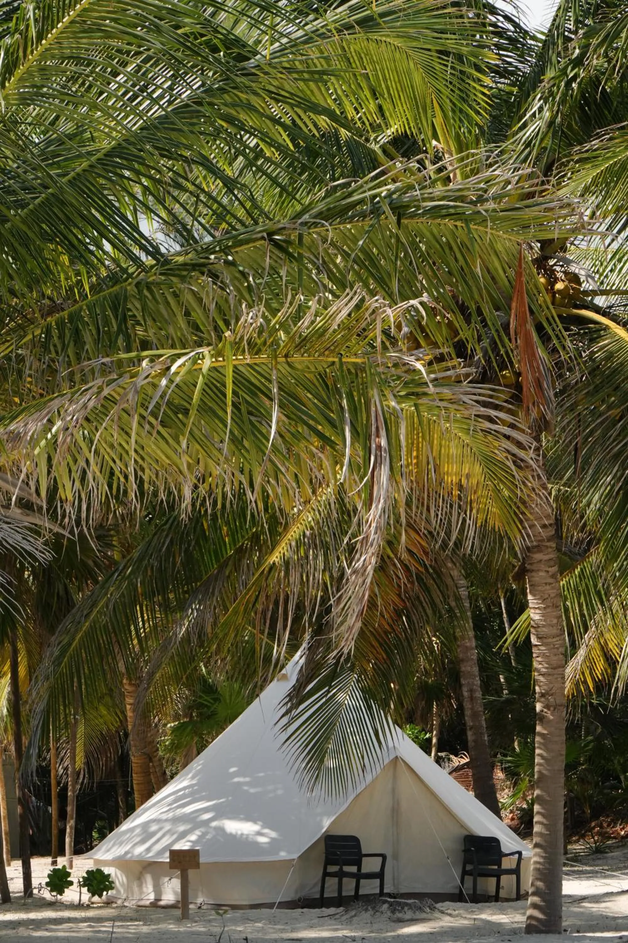 Garden view in Hotel Cielo y Selva