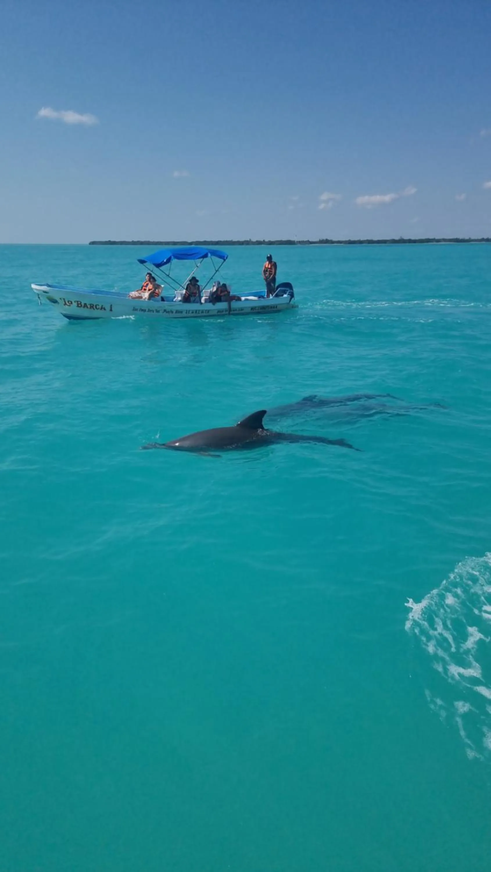 Activities in Hotel Cielo y Selva