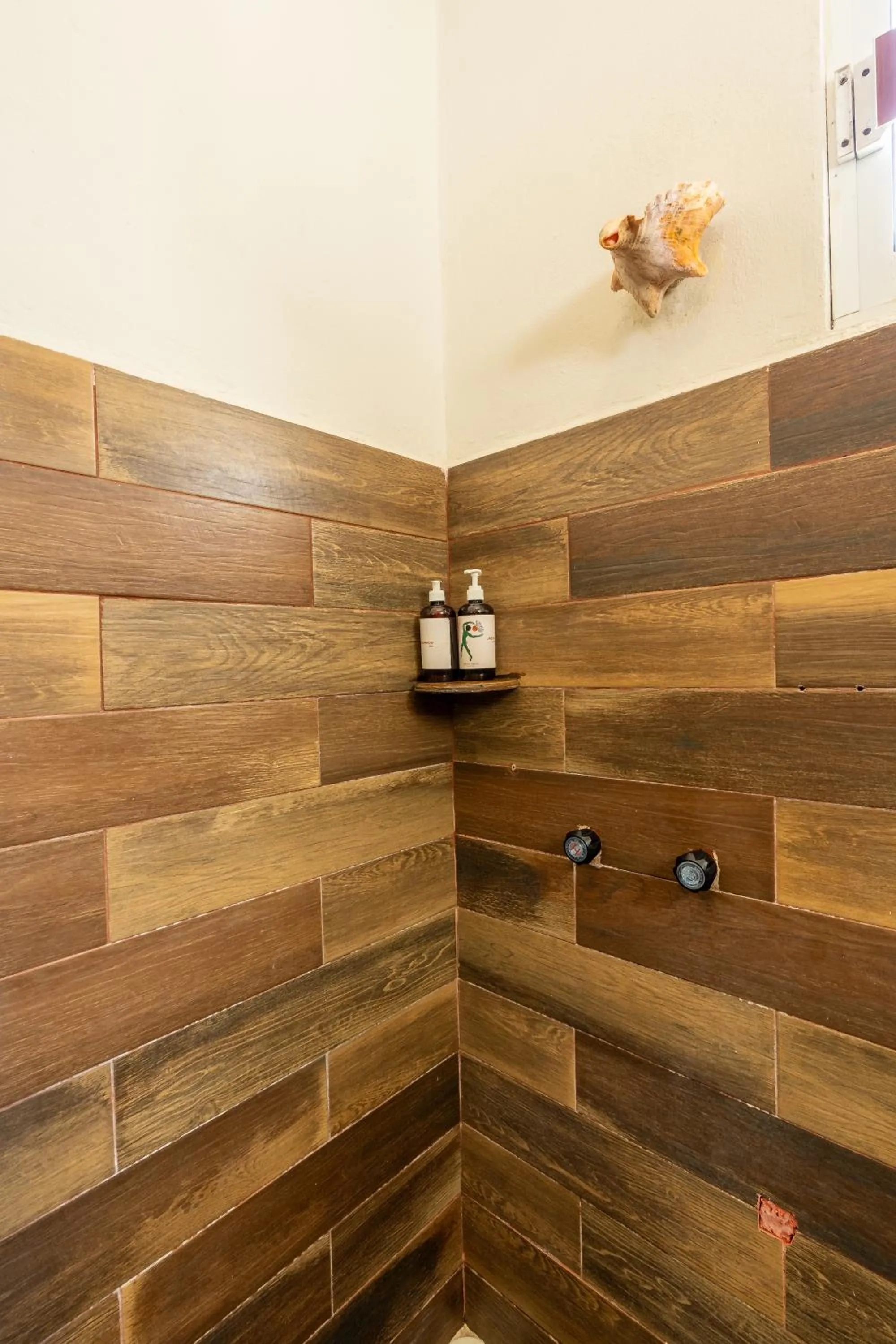 Shower in Hotel Cielo y Selva