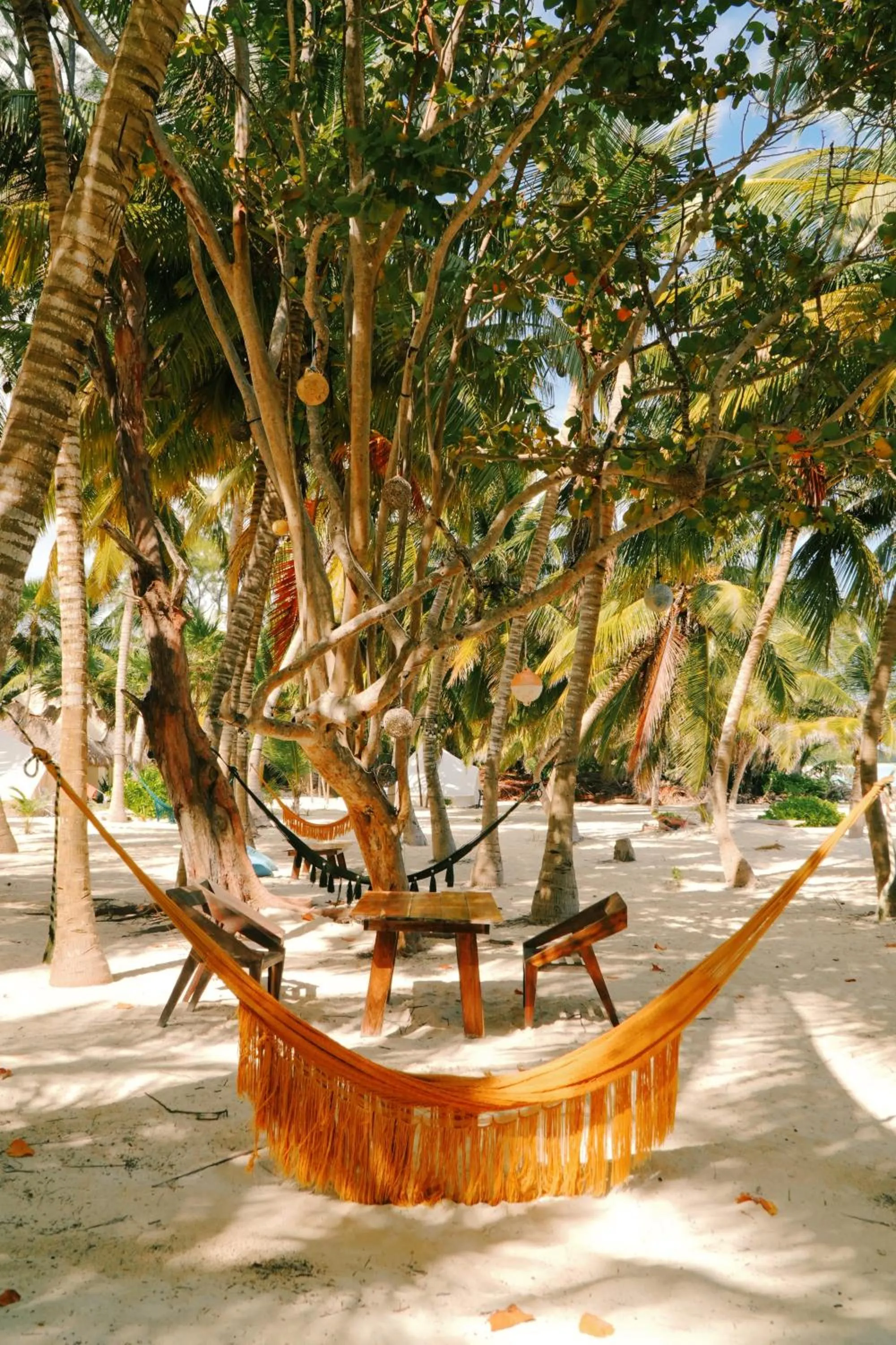 Restaurant/places to eat in Hotel Cielo y Selva