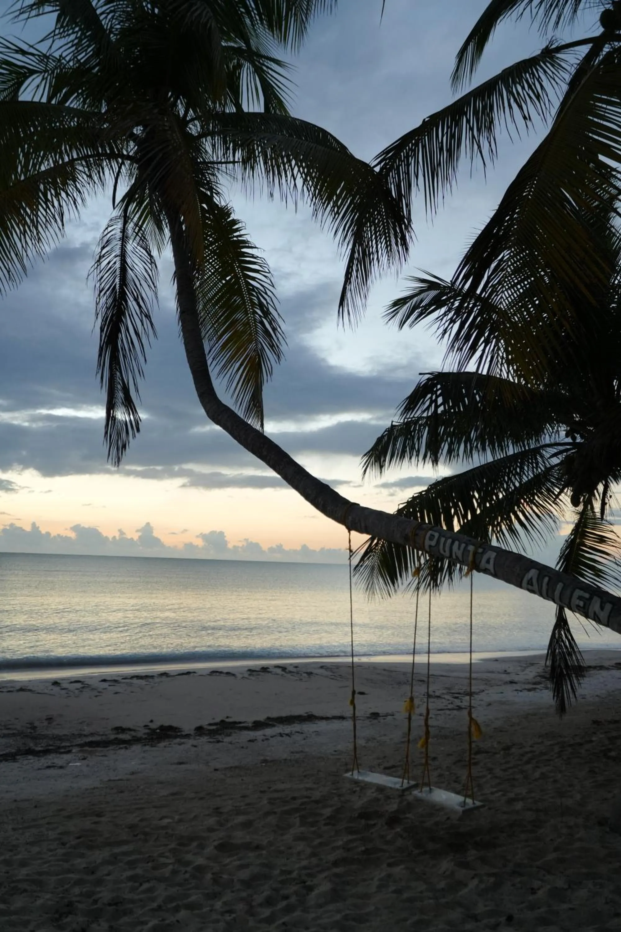 Sunrise in Hotel Cielo y Selva