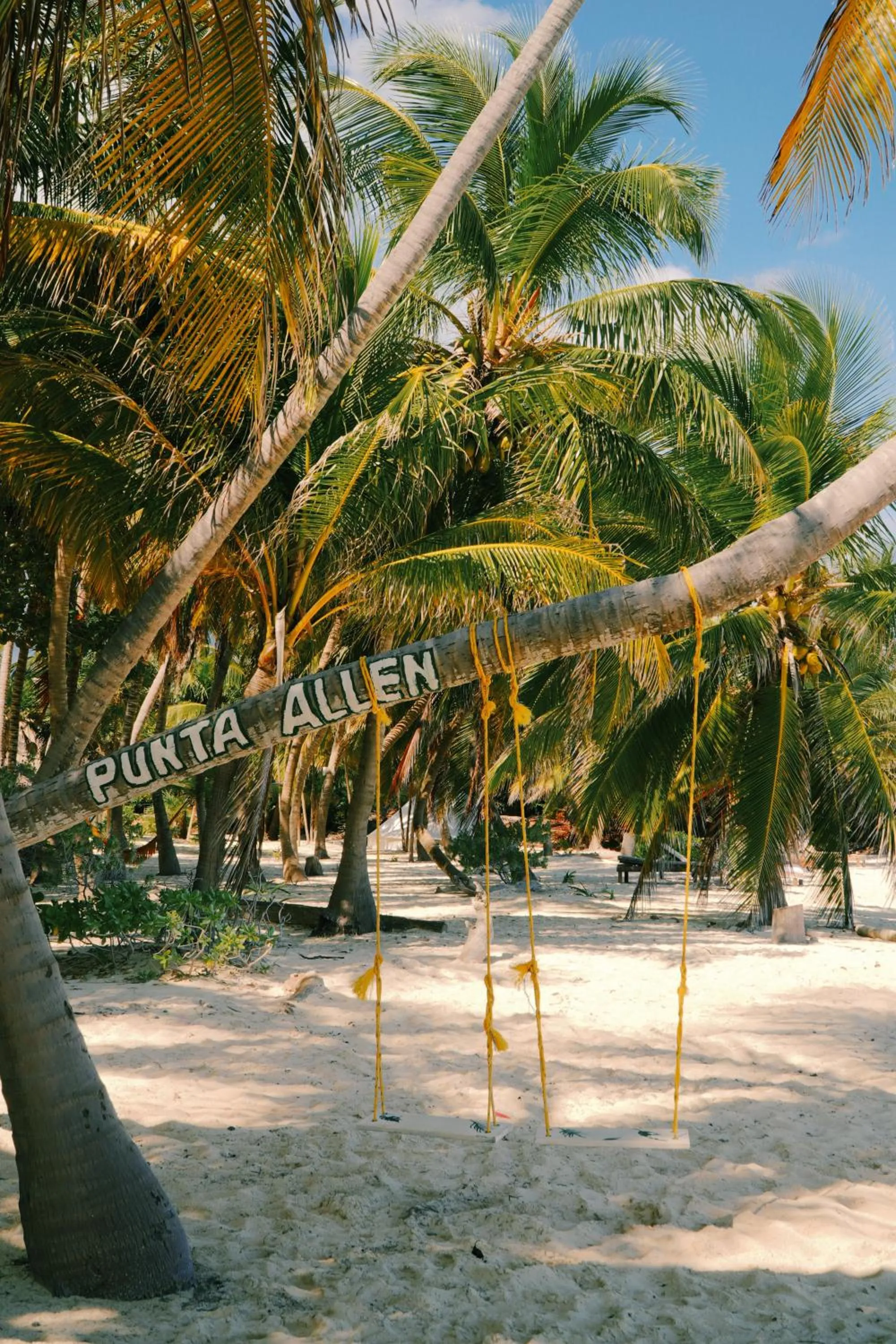 Beach in Hotel Cielo y Selva