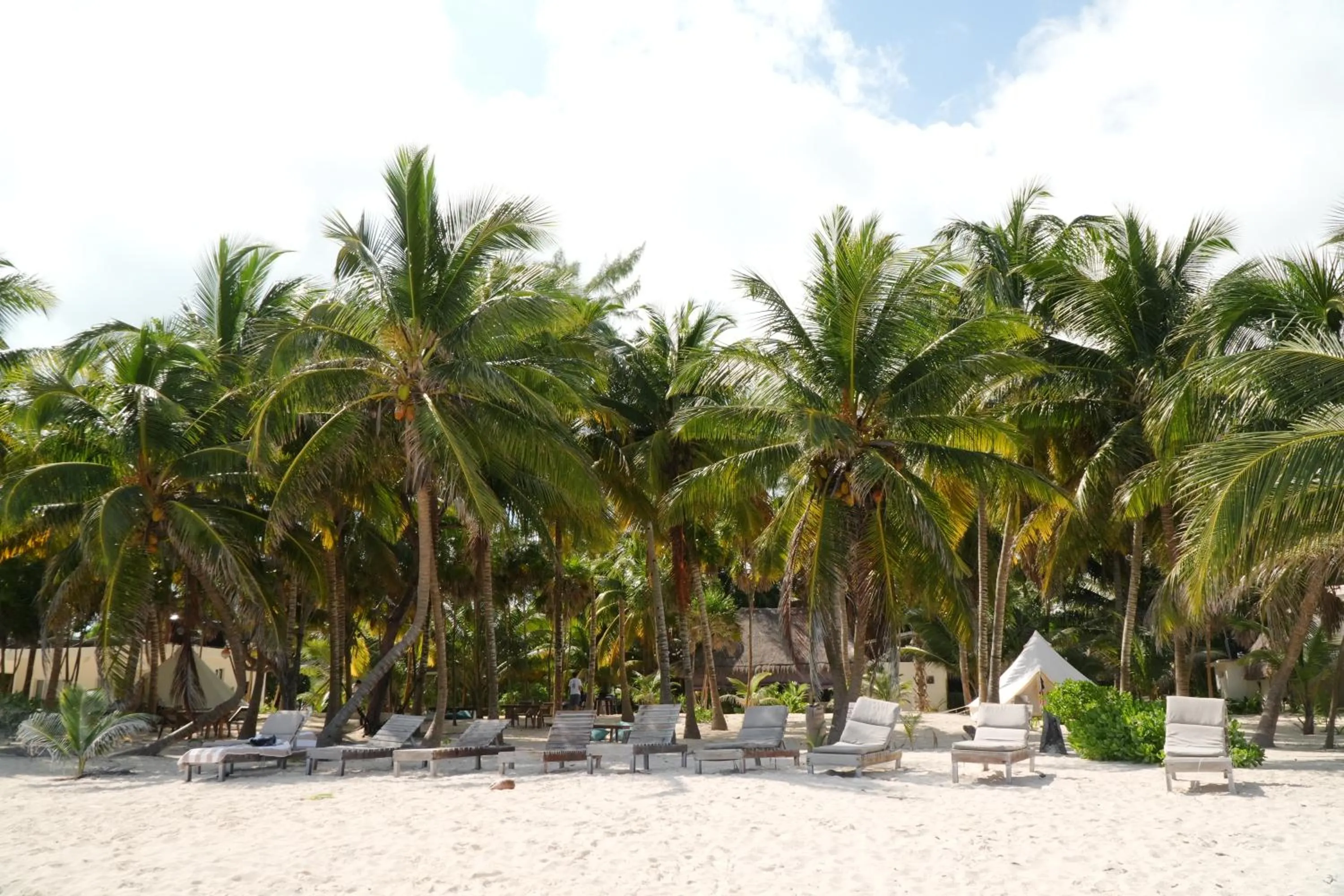 Beach in Hotel Cielo y Selva