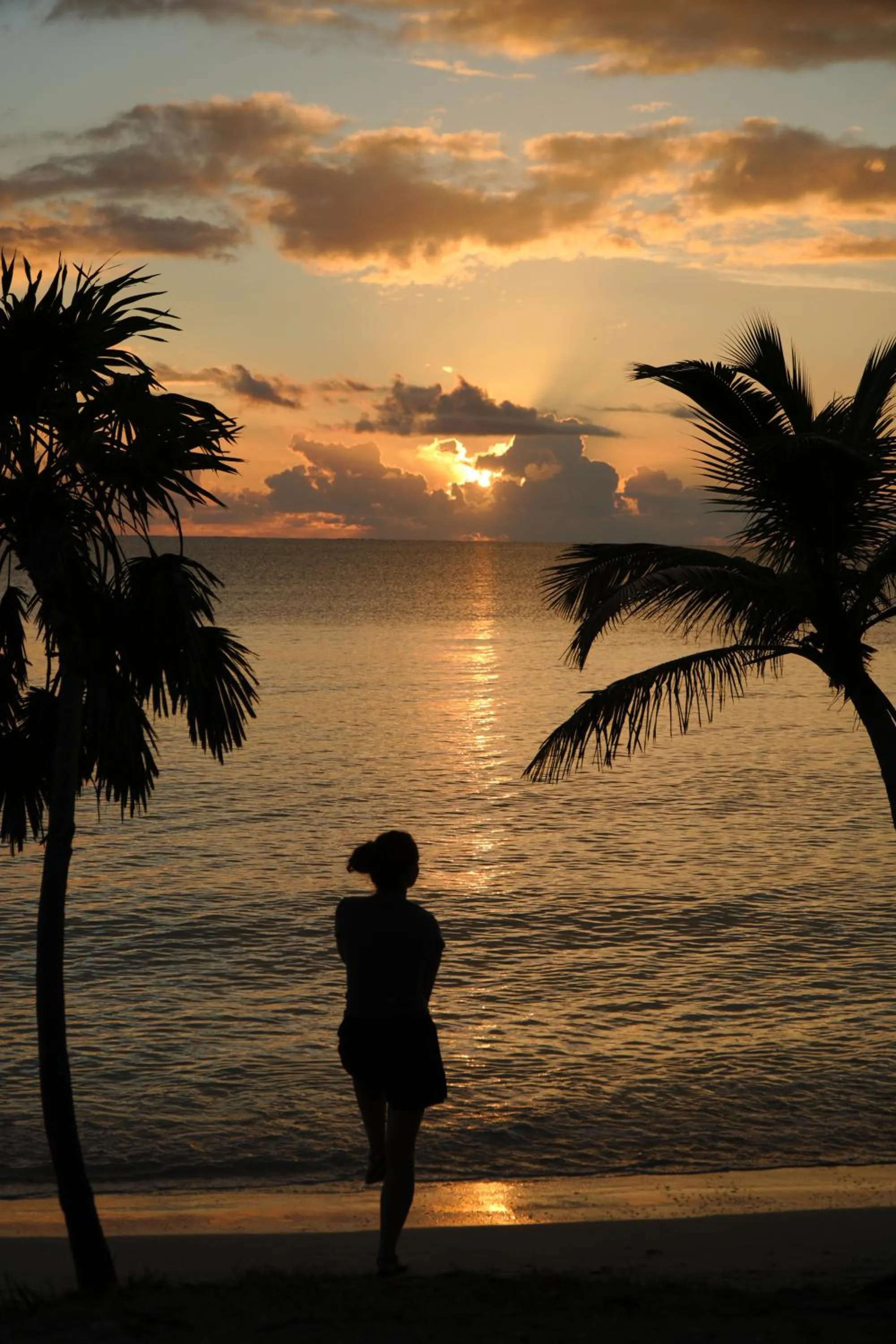 Sunrise in Hotel Cielo y Selva