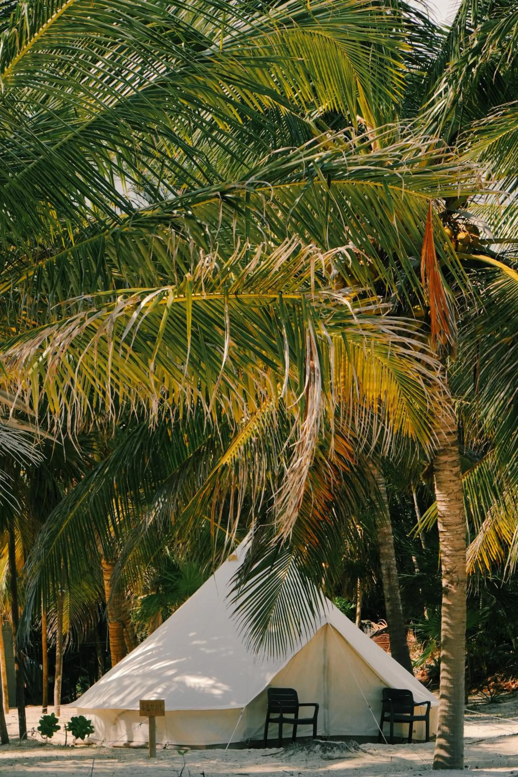 Garden view in Hotel Cielo y Selva