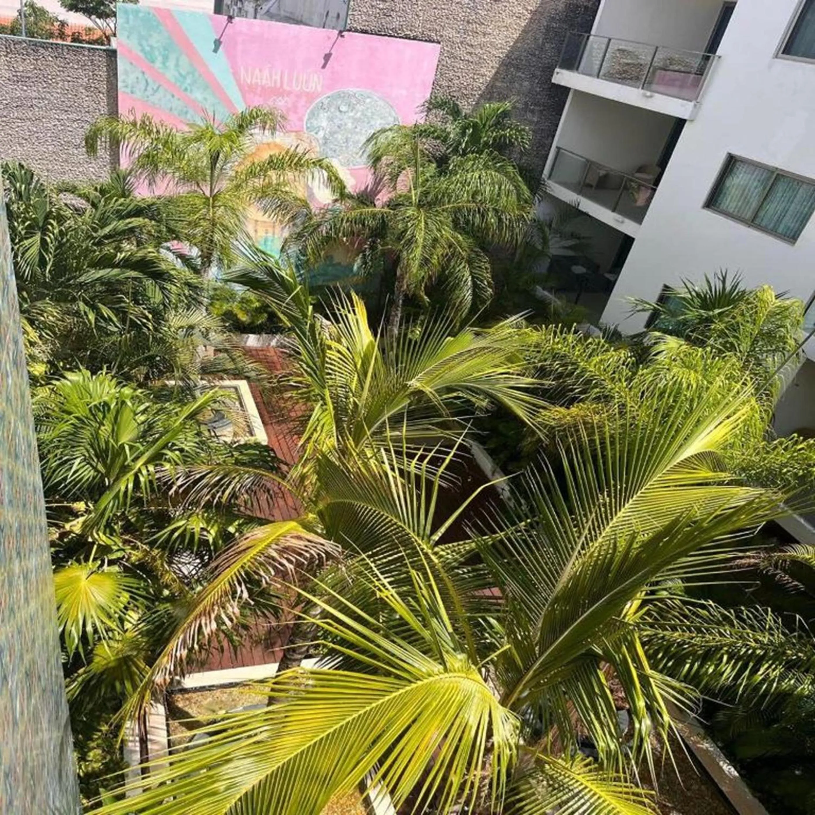 Garden in Hotel The Palm