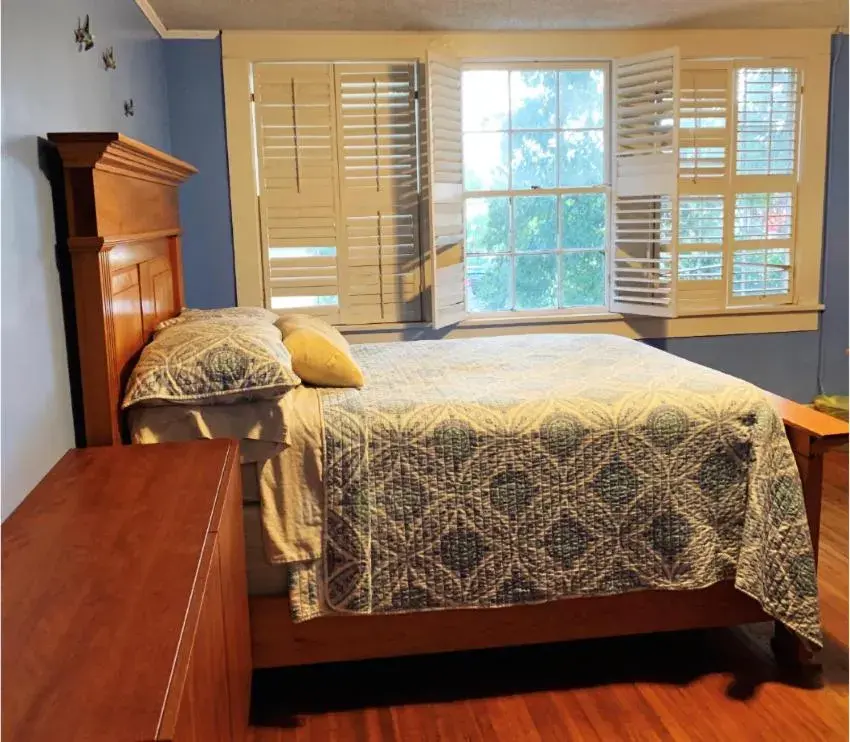 Budget Double Room in Blue Moon Guest House Budget Double Room in Blue Moon Guest House