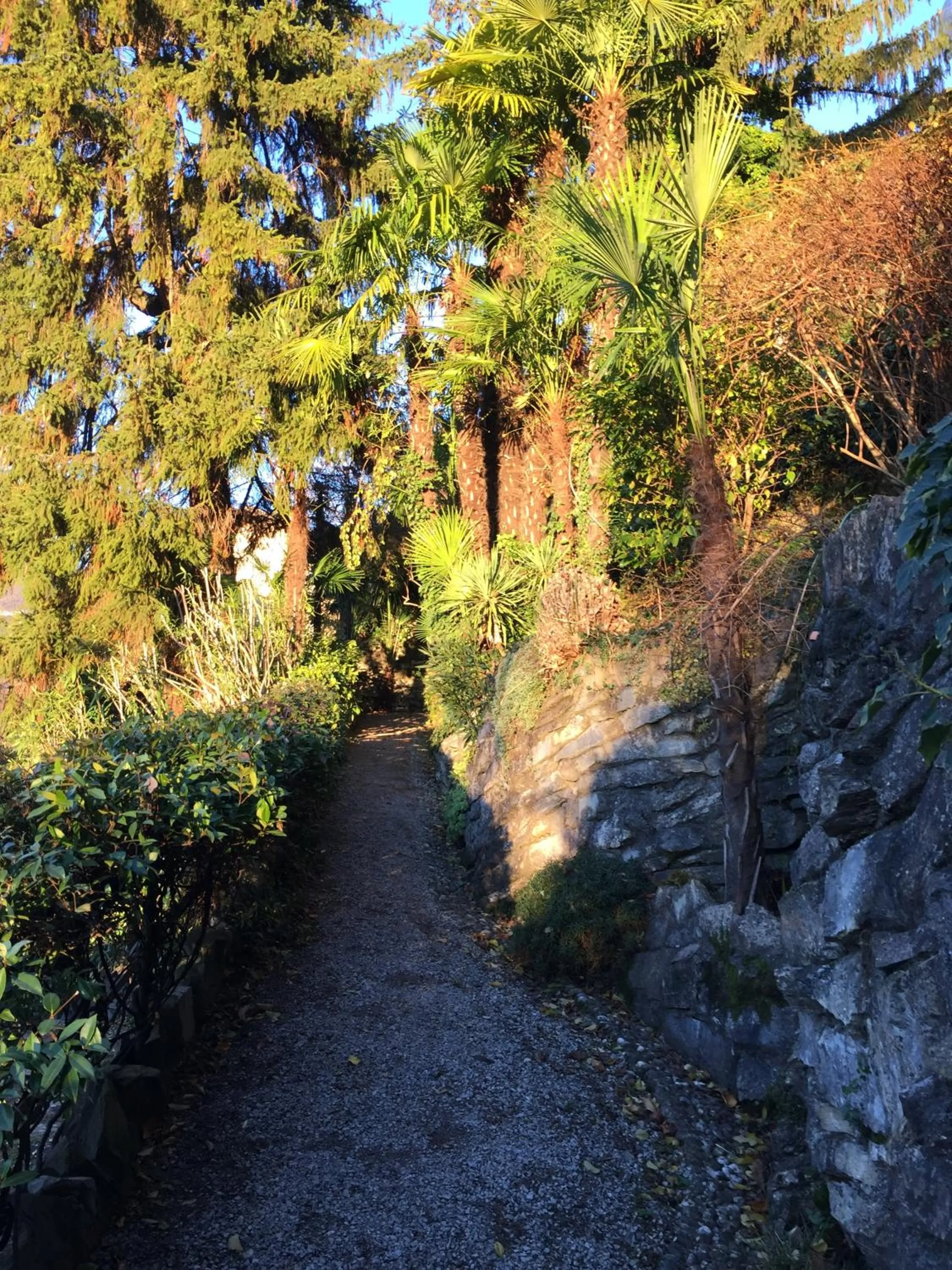 Garden in B&B Villa Costanza