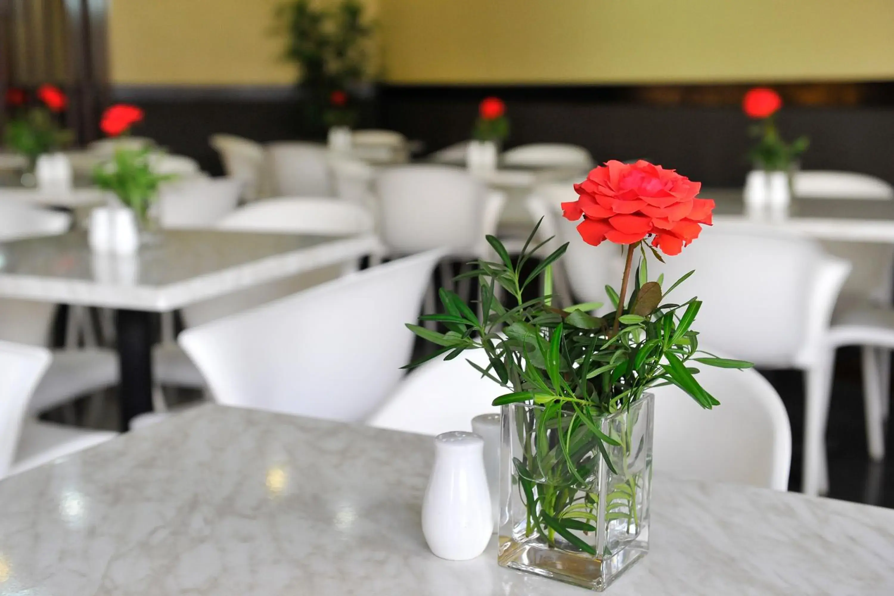 Restaurant/places to eat in Express Inn Cebu Mabolo Restaurant/places to eat in Express Inn Cebu Mabolo