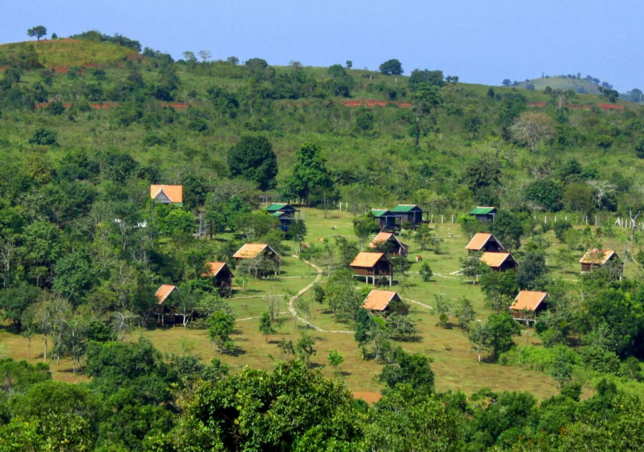 Bird's eye view in Nature Lodge