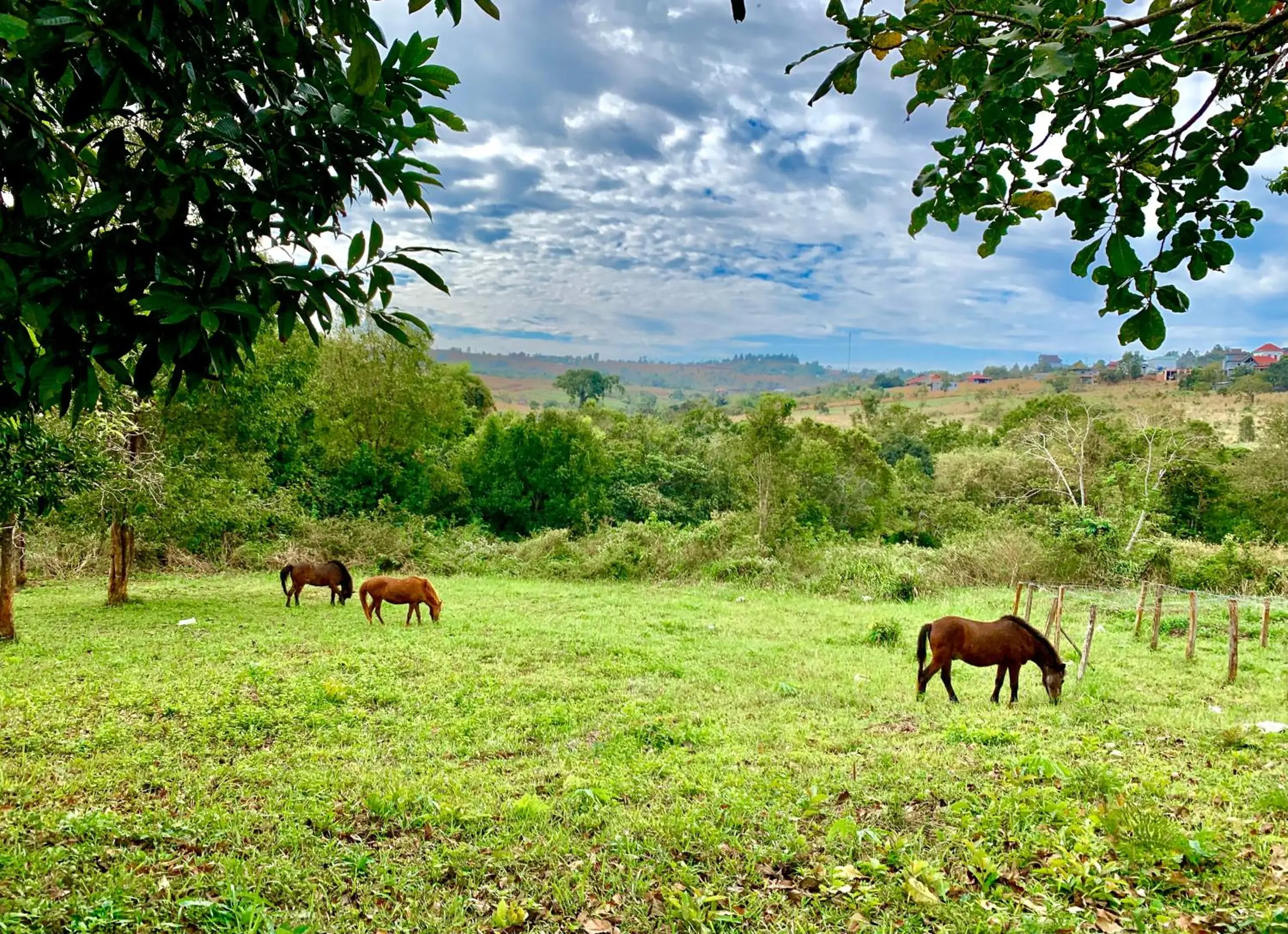 Mountain view in Nature Lodge Mountain view in Nature Lodge