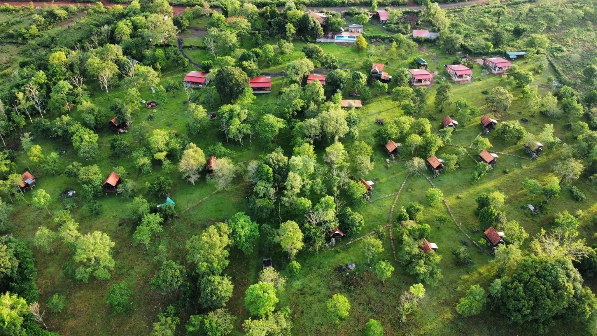 Property building in Nature Lodge