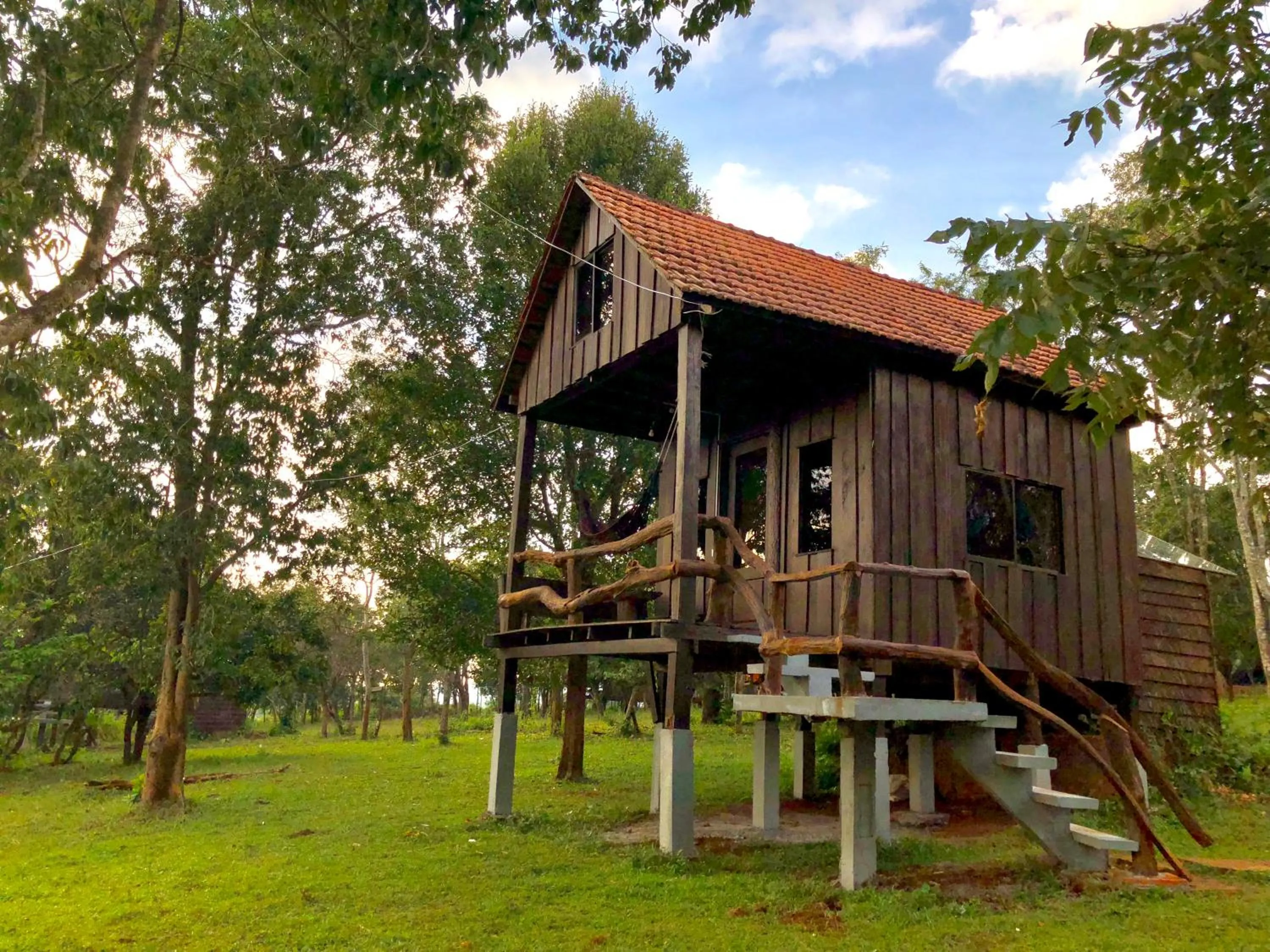 Photo of the whole room in Nature Lodge