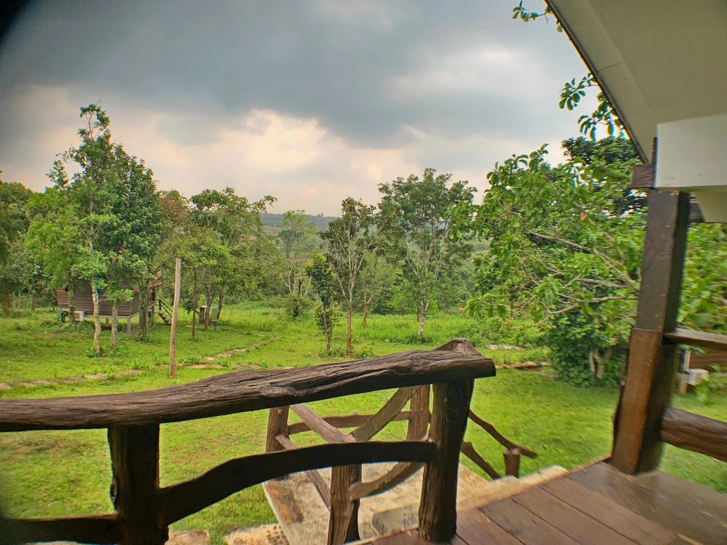 View (from property/room) in Nature Lodge