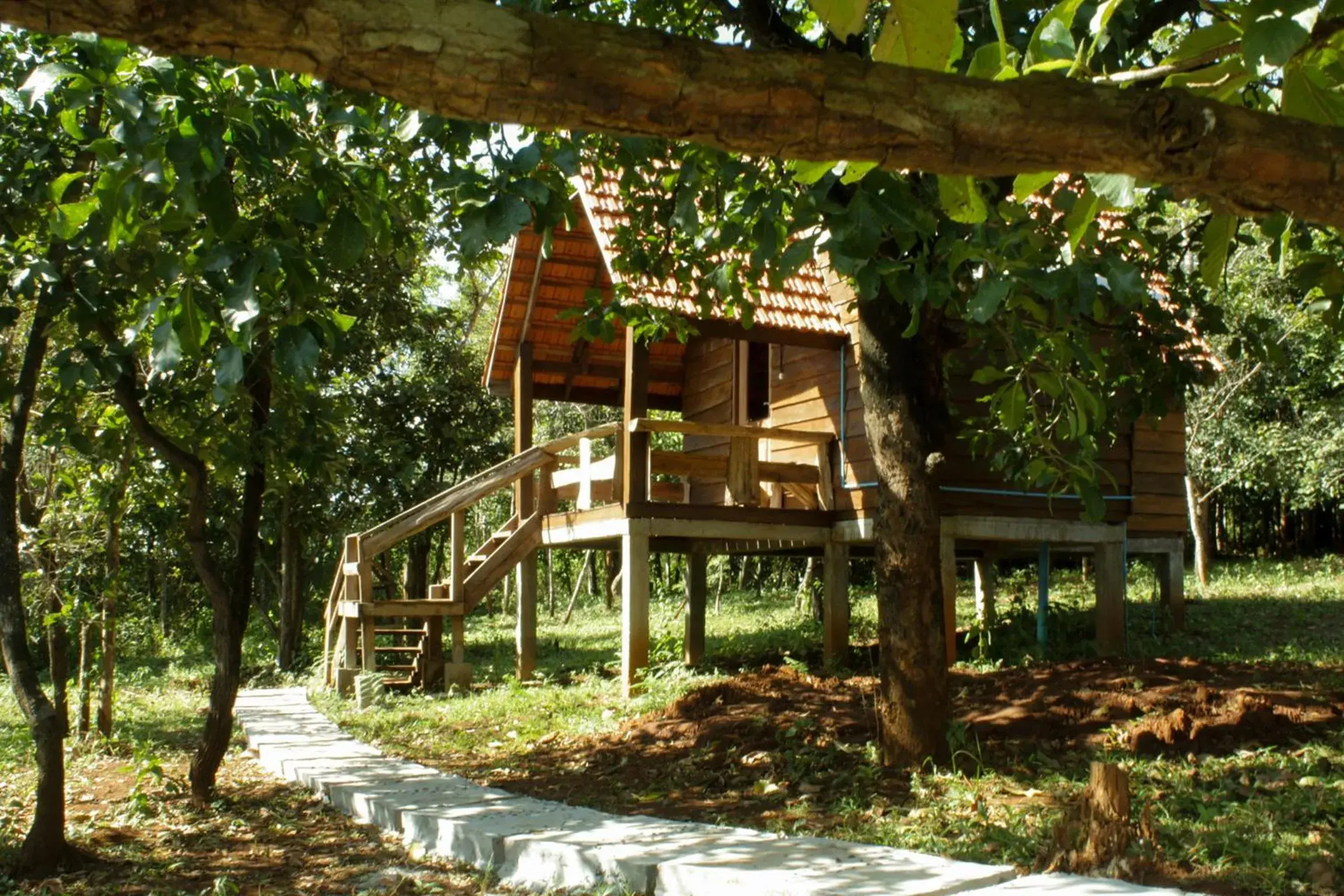 Photo of the whole room in Nature Lodge Photo of the whole room in Nature Lodge