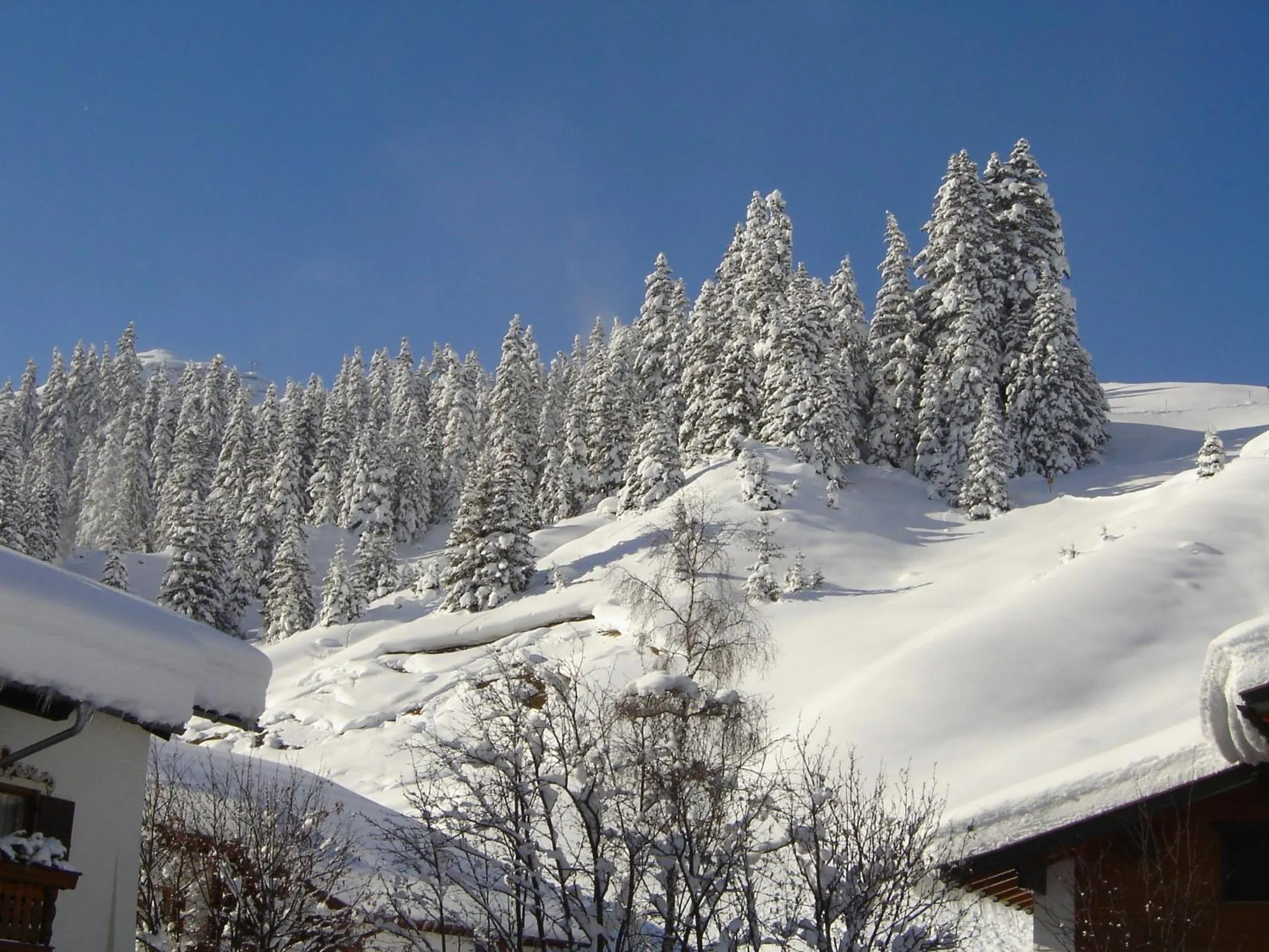 Area and facilities in Pension Hartenfels