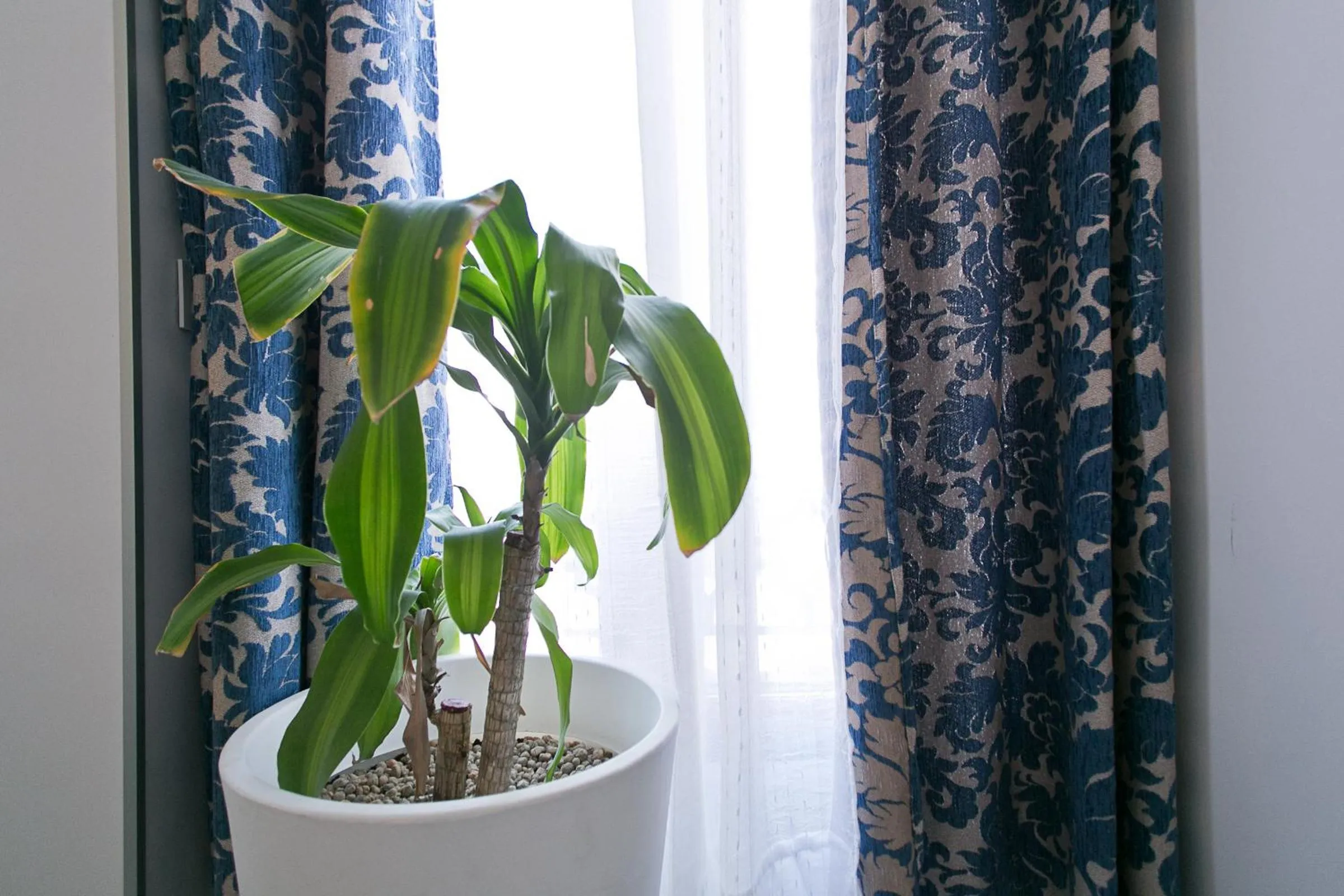 Decorative detail in Hostal Main Street Madrid