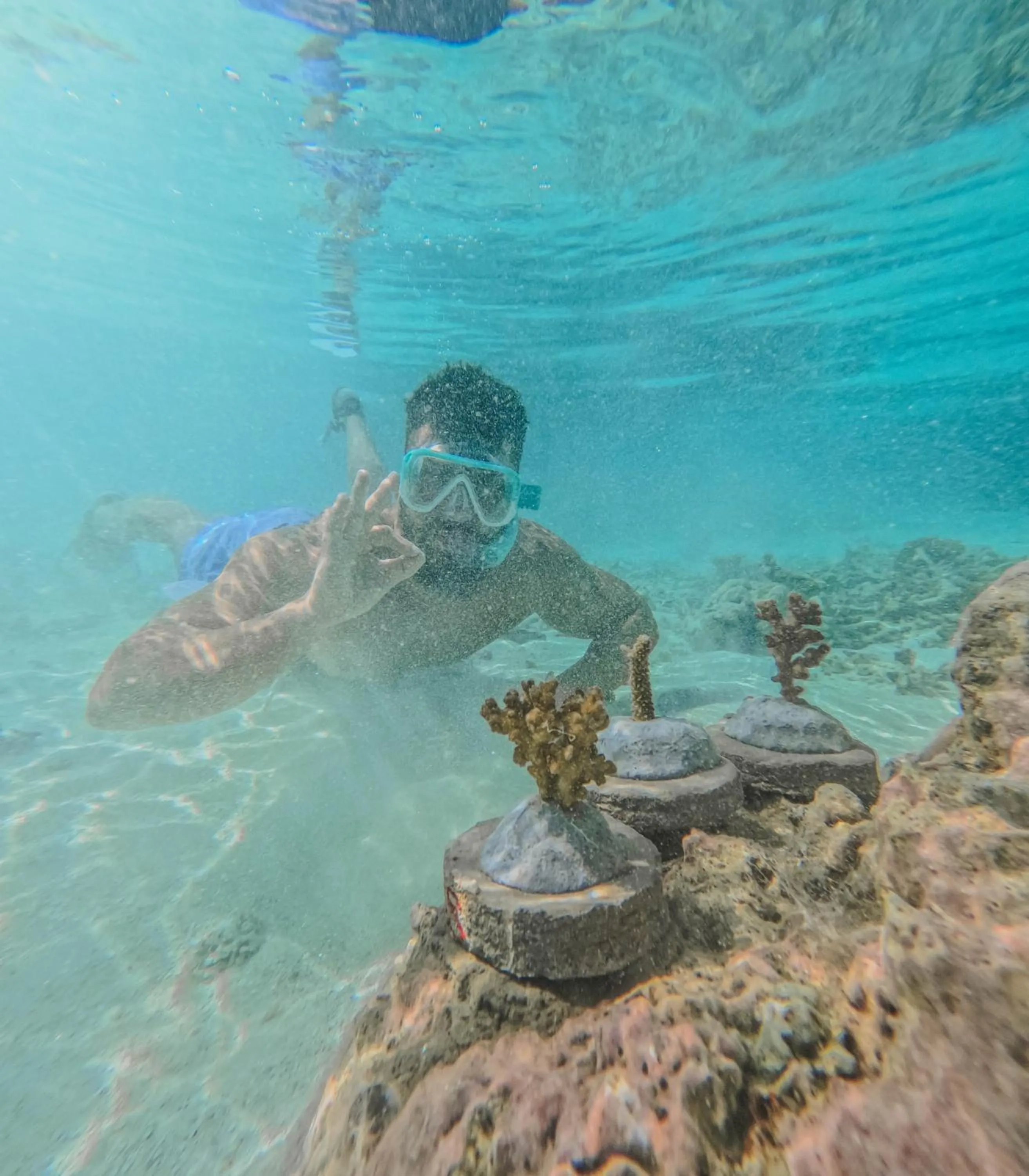 Activities in Diamonds Athuruga Maldives Resort & Spa