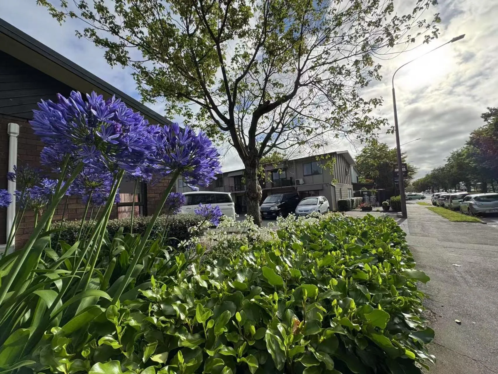 Garden in Abbey Motor Lodge