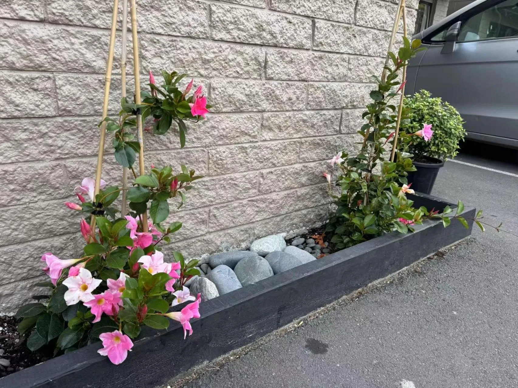 Garden view in Abbey Motor Lodge