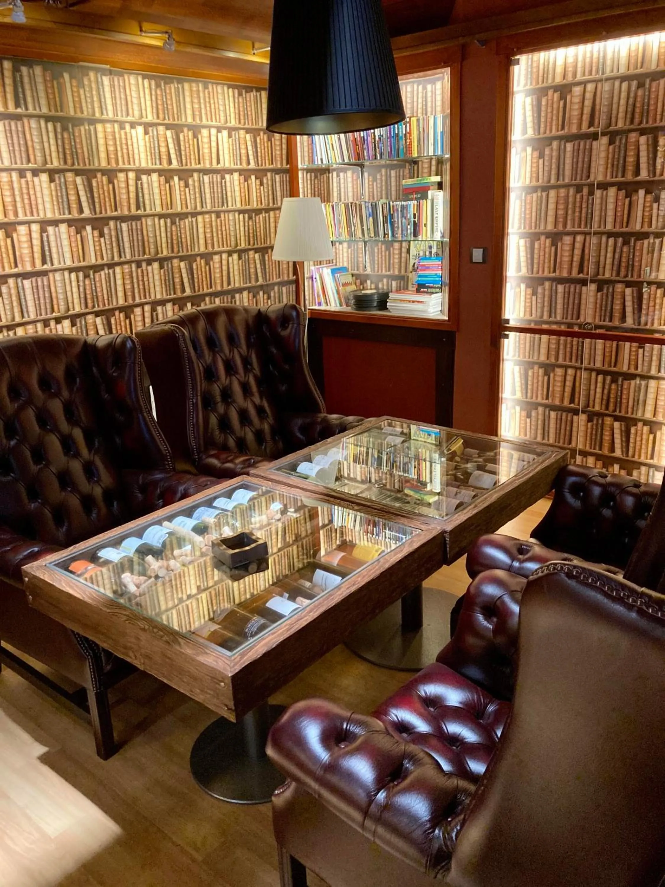 Library in Hotel Berg
