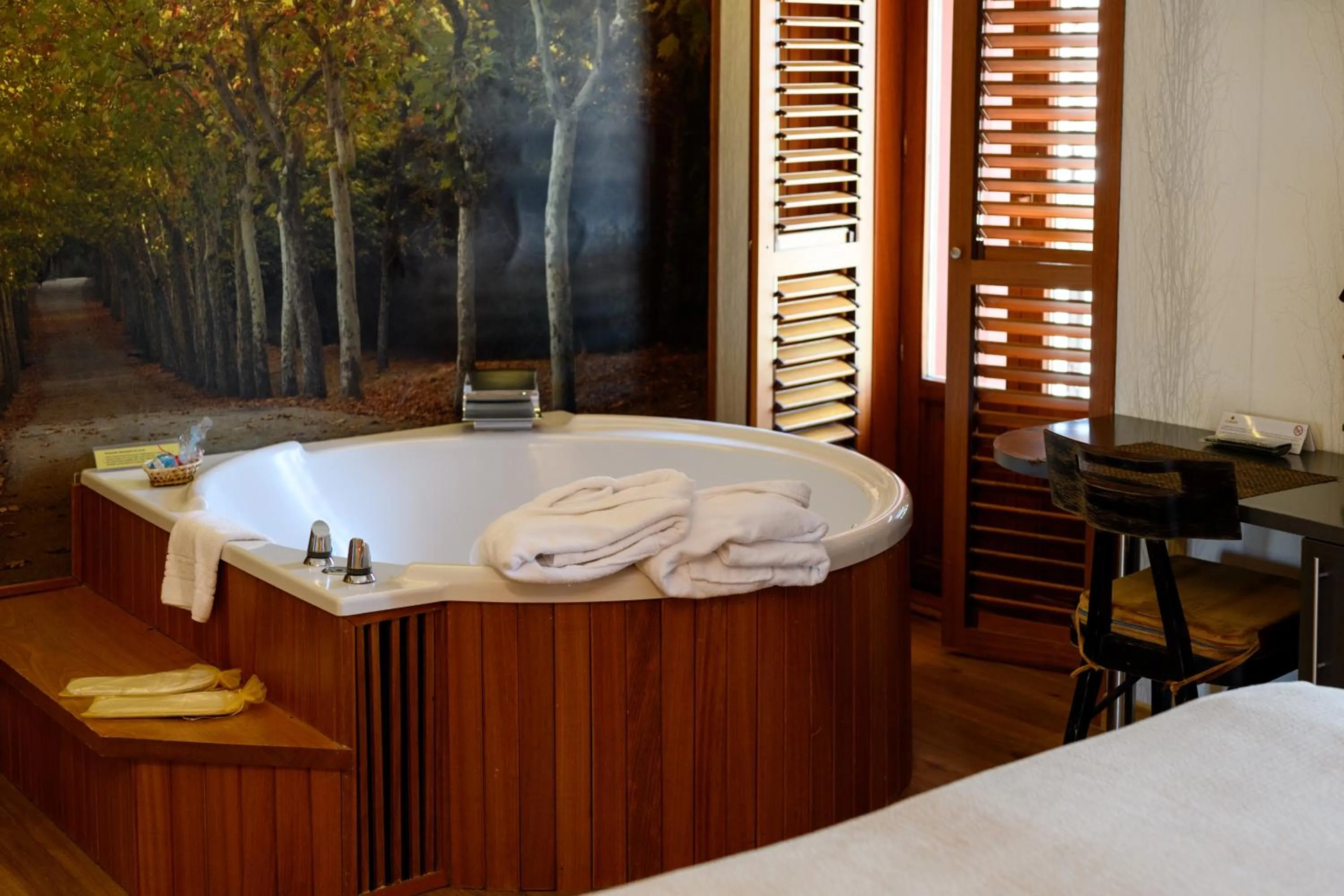 Hot Tub in Hotel De Martin