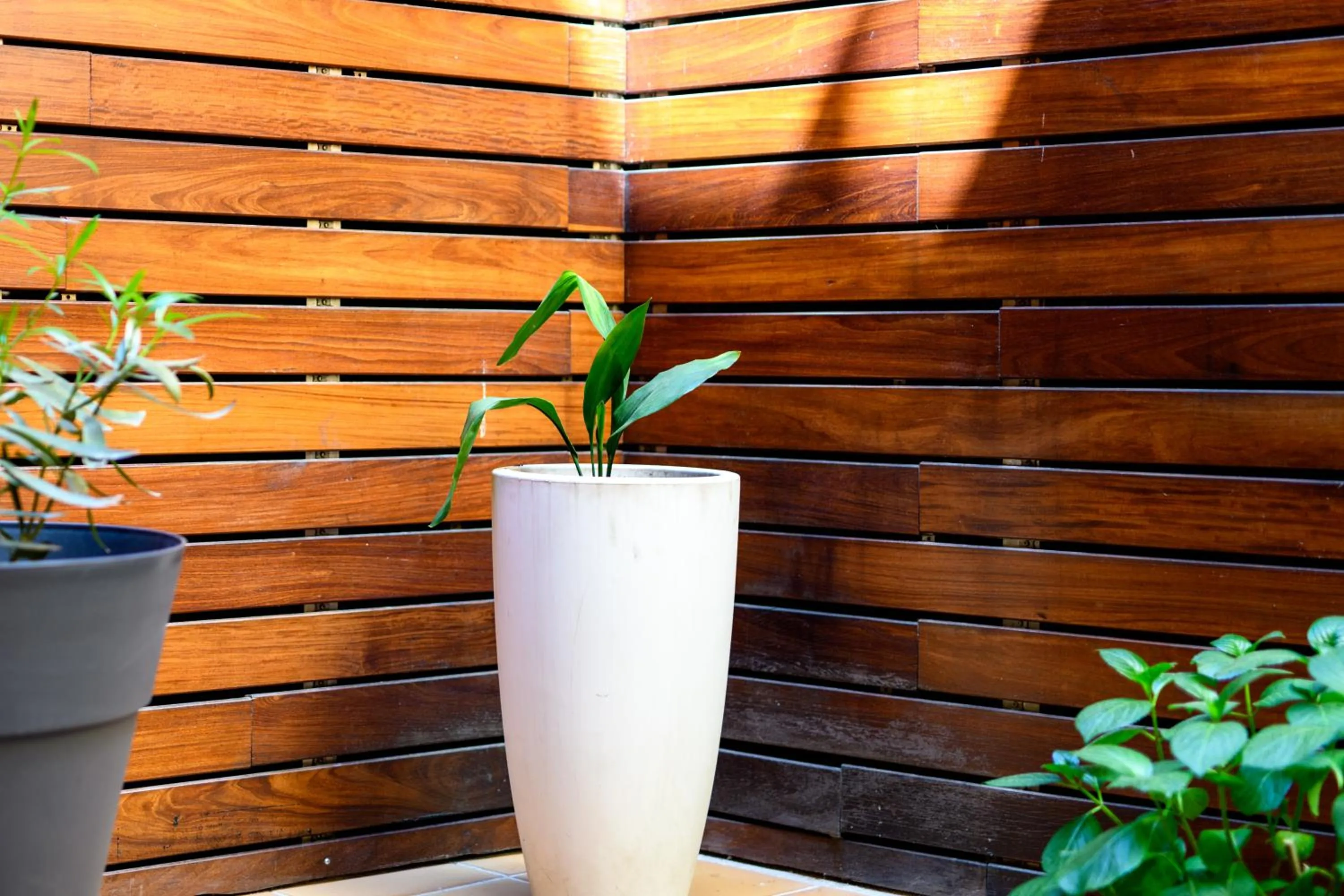 Patio in Hotel De Martin