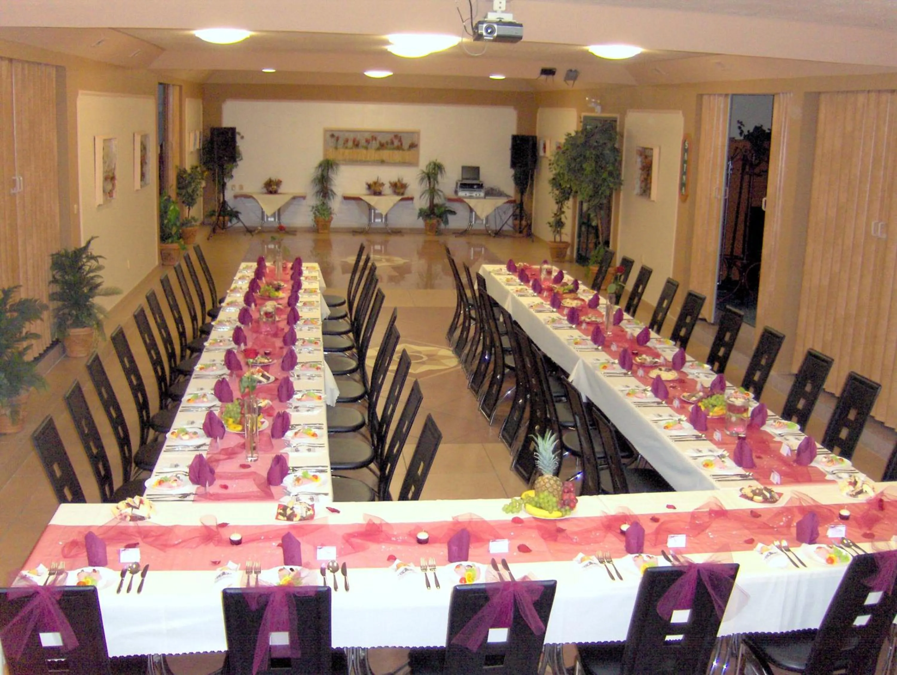 Banquet/Function facilities in Hotel Relax u Drsů