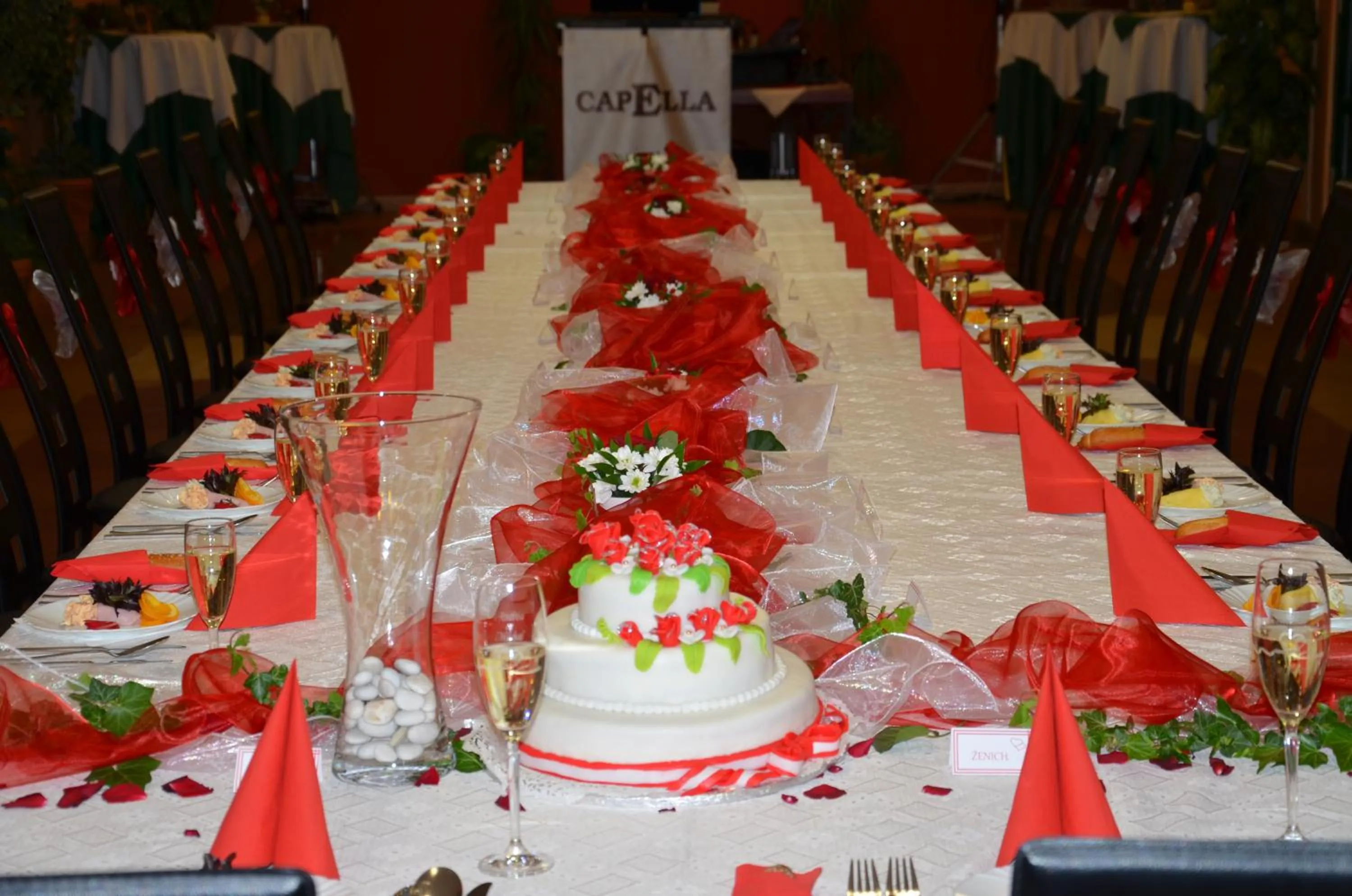 Banquet/Function facilities in Hotel Relax u Drsů