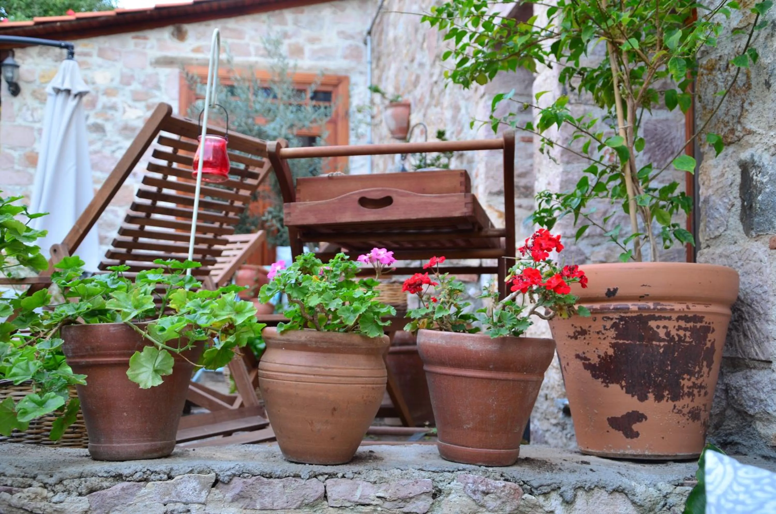 Garden in Macaron Konagi