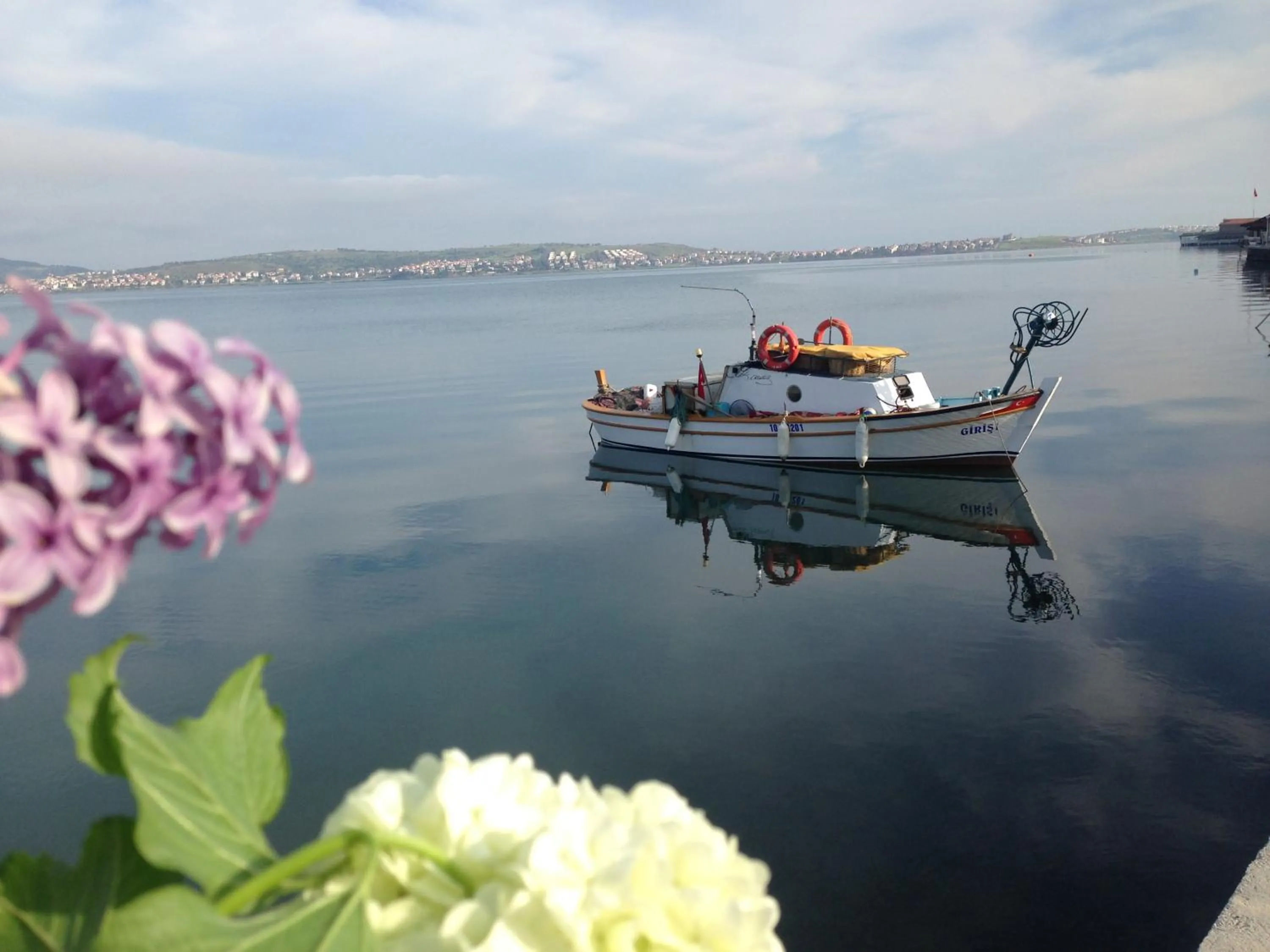 Neighbourhood in Macaron Konagi