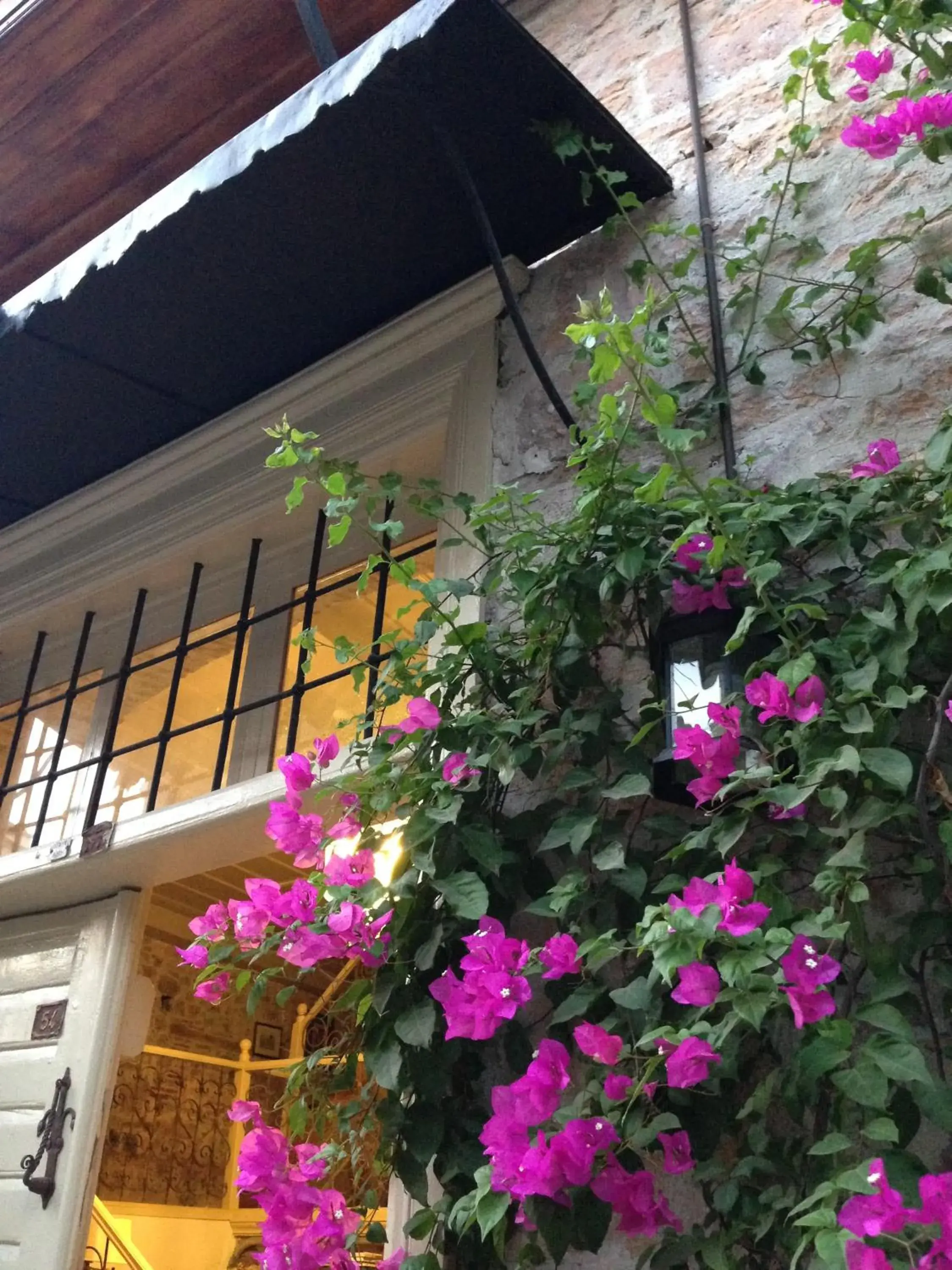 Facade/entrance in Macaron Konagi Facade/entrance in Macaron Konagi