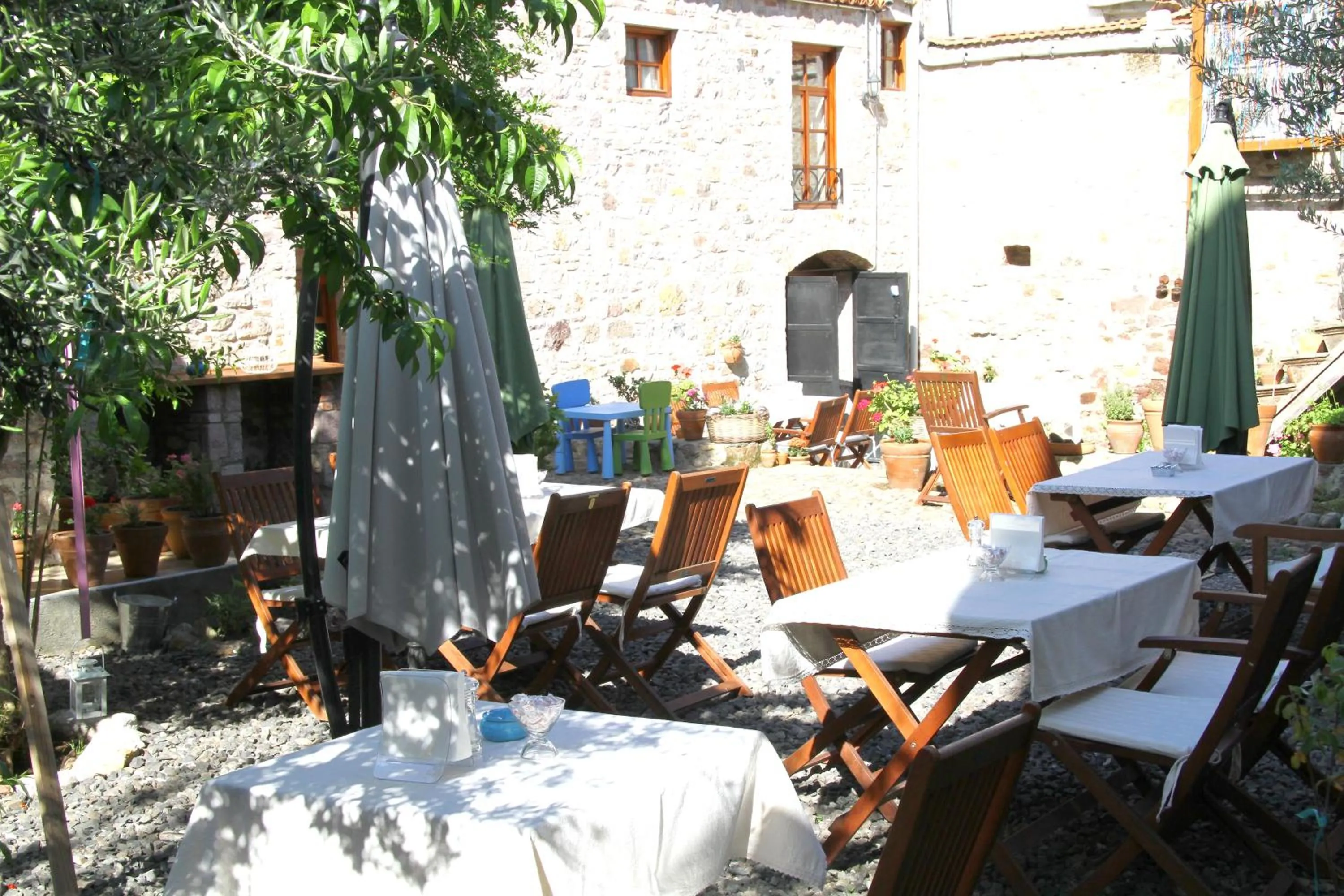 Garden in Macaron Konagi